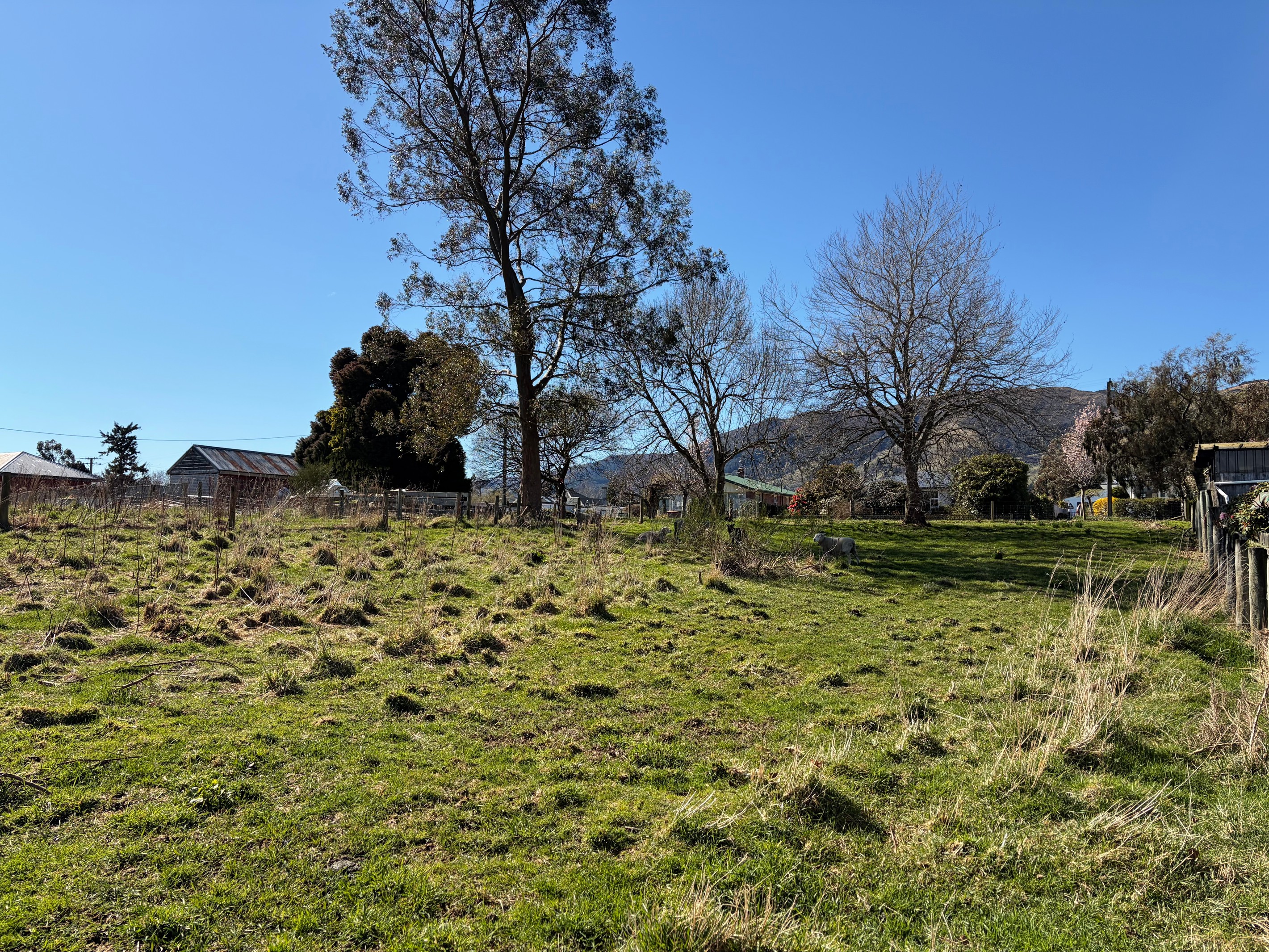 23 Durham Street, Tapanui, Clutha District
