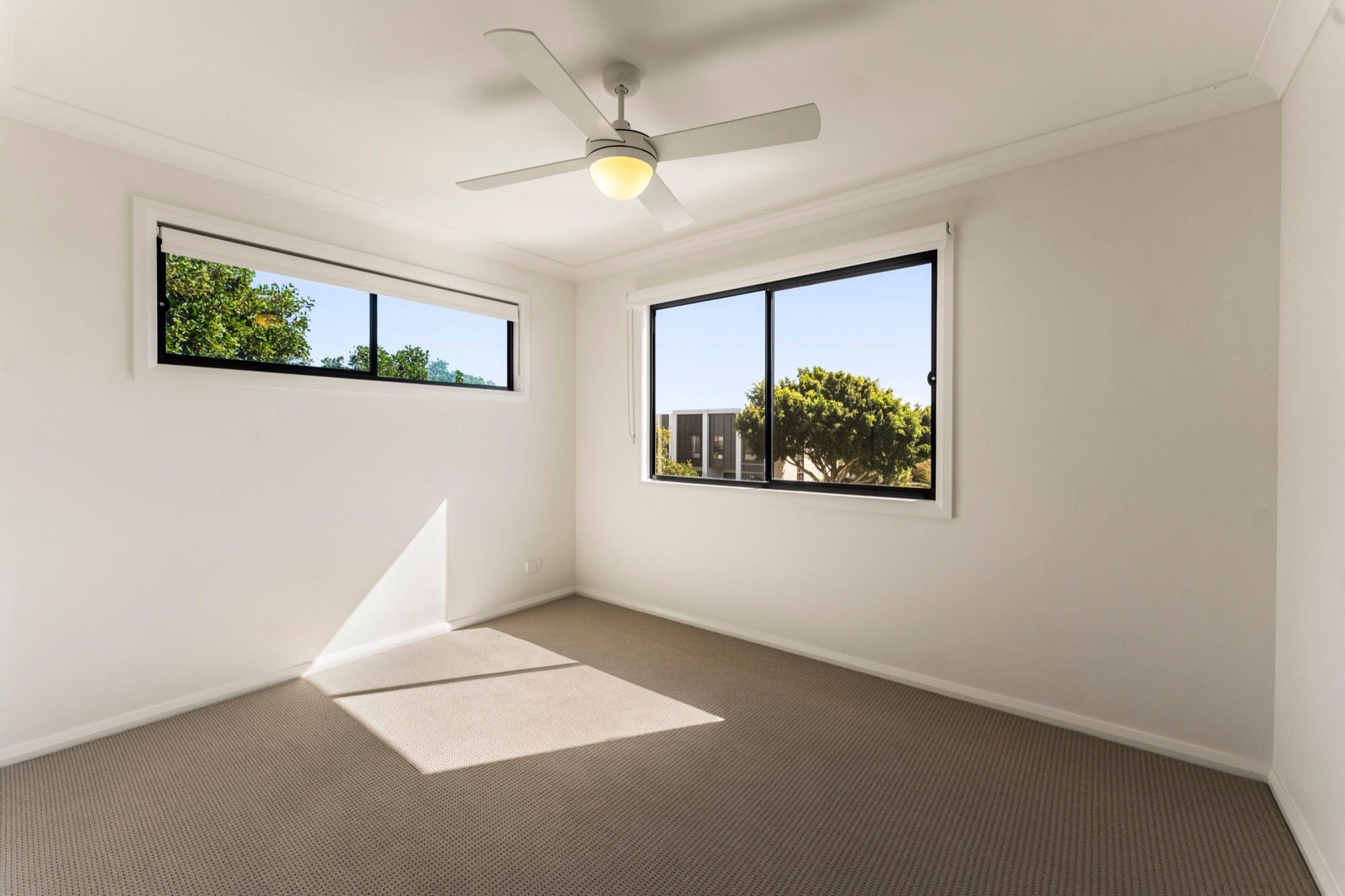 33 Napier Avenue — photo 12 of 16