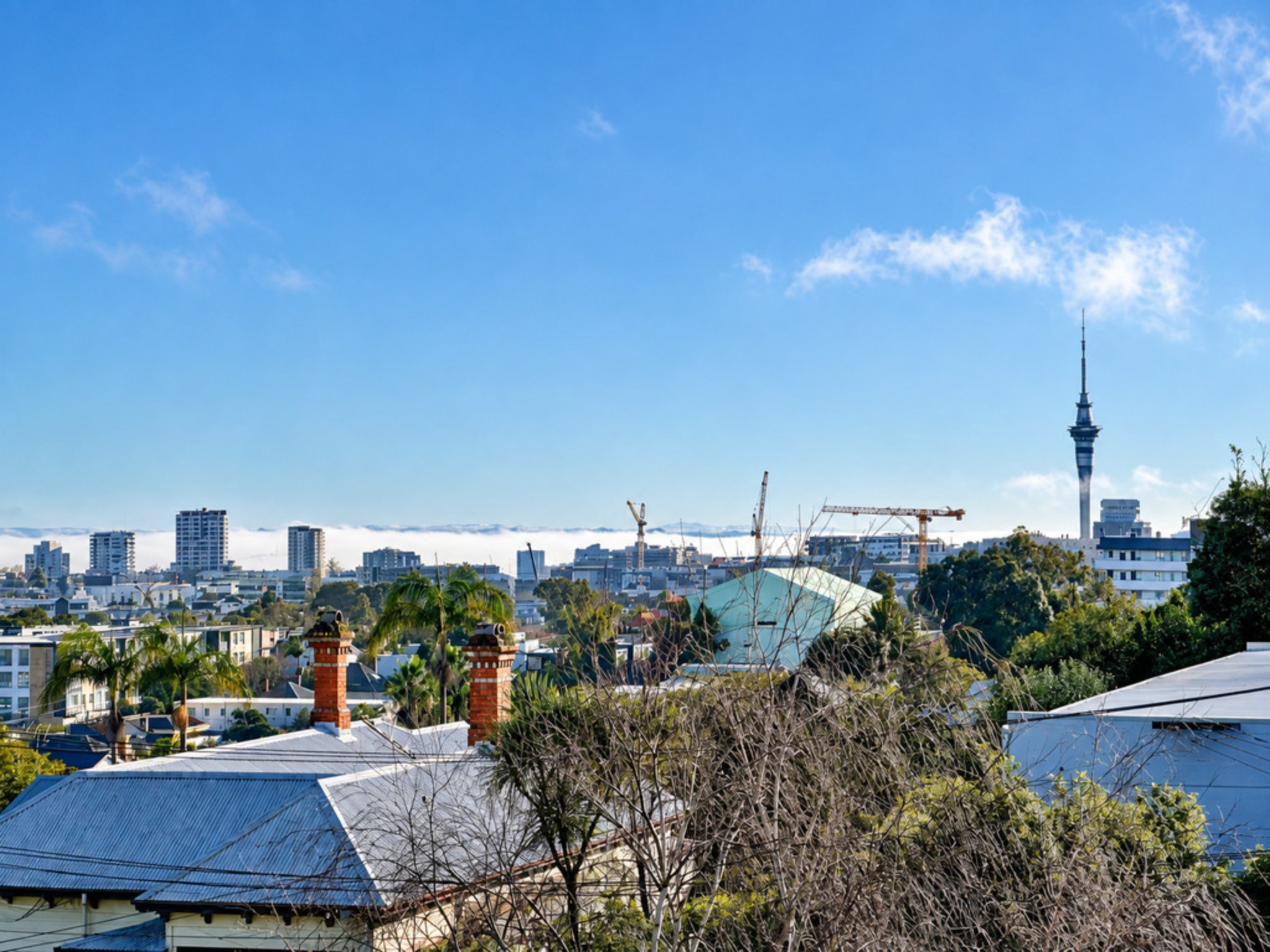 12/14 Lovelock Avenue, Mount Eden, Auckland City