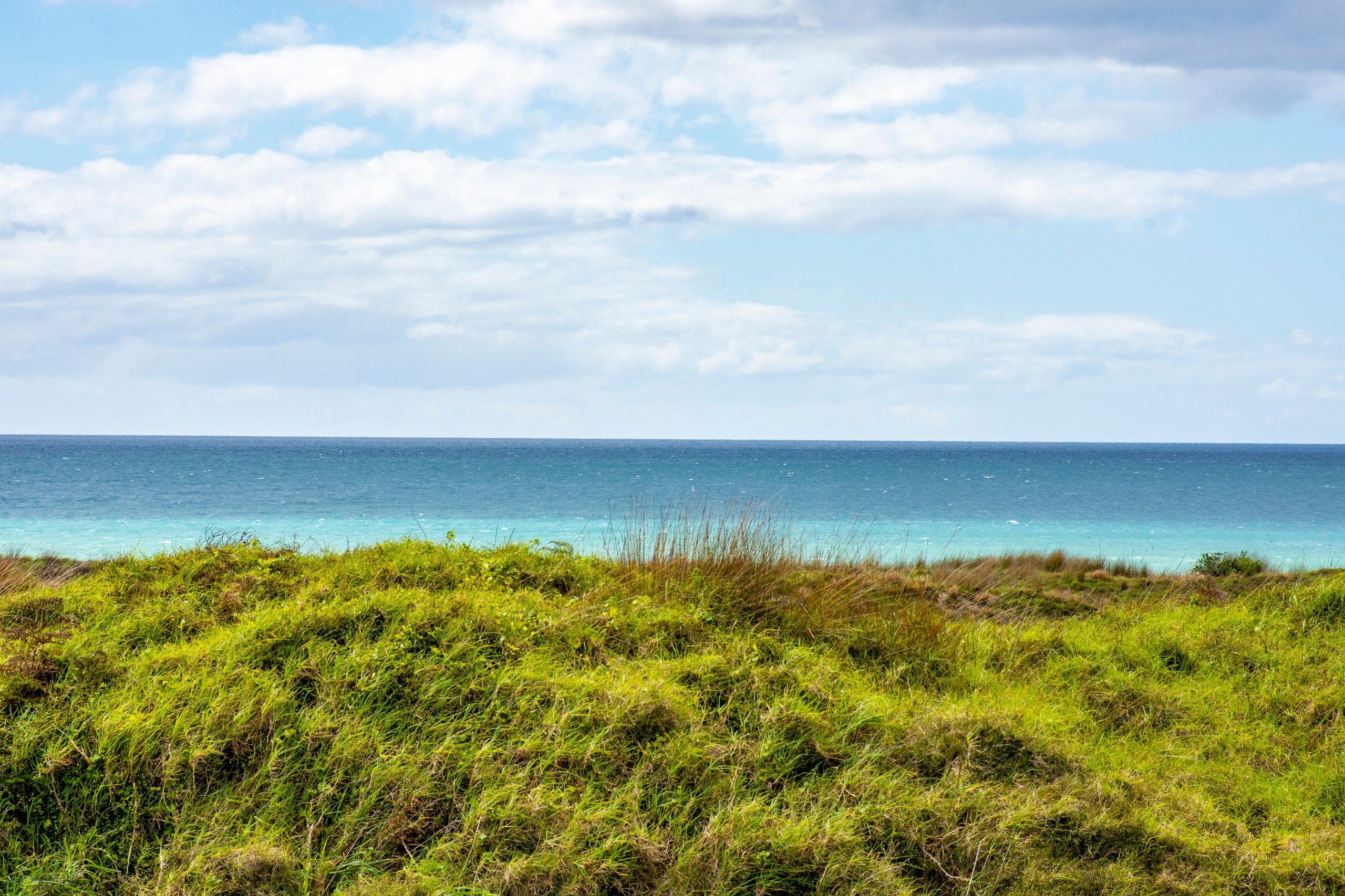 938 Papamoa Beach Road, Papamoa, Tauranga City