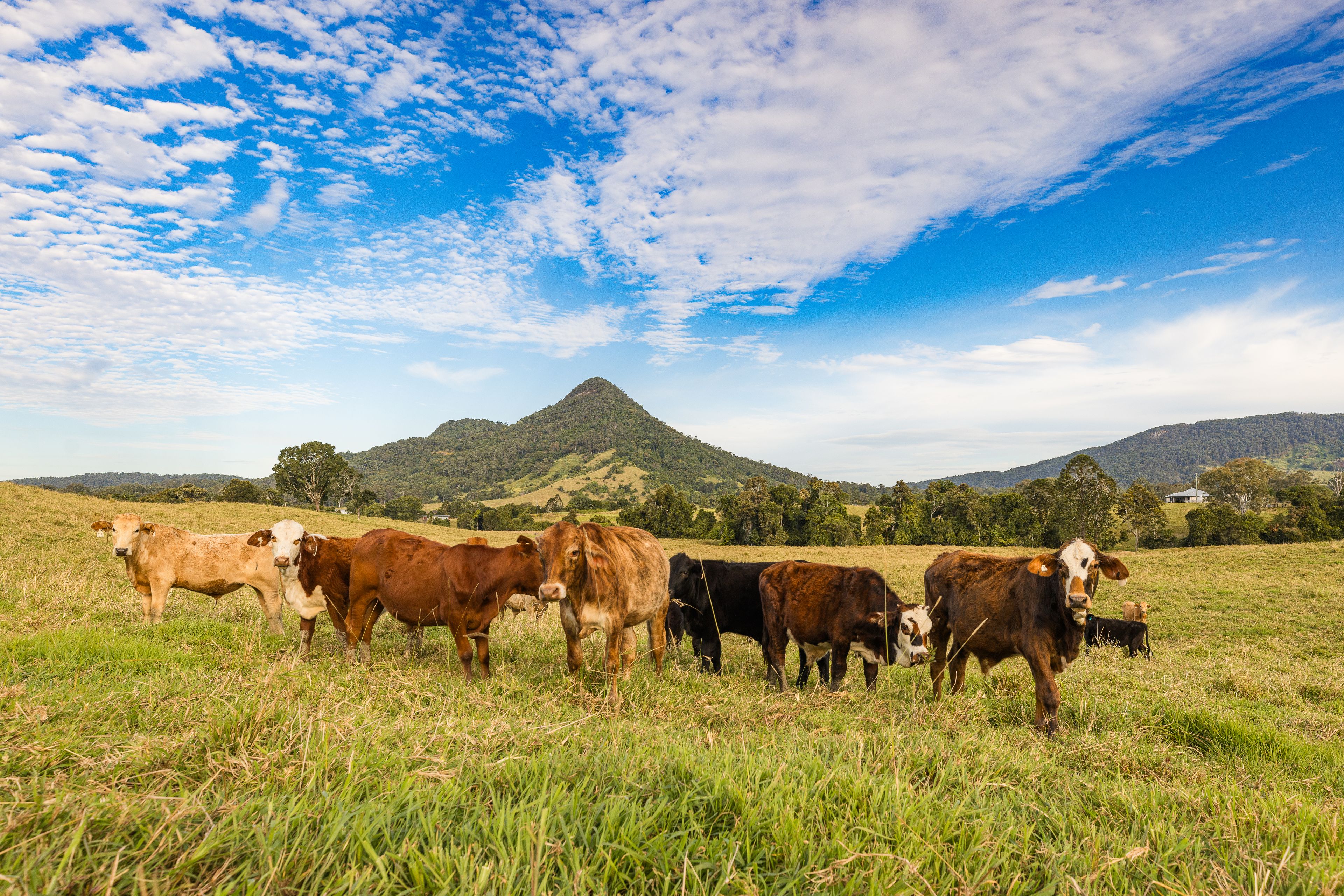 Lot 1 Mineshaft Road, Eerwah Vale, QLD 4562