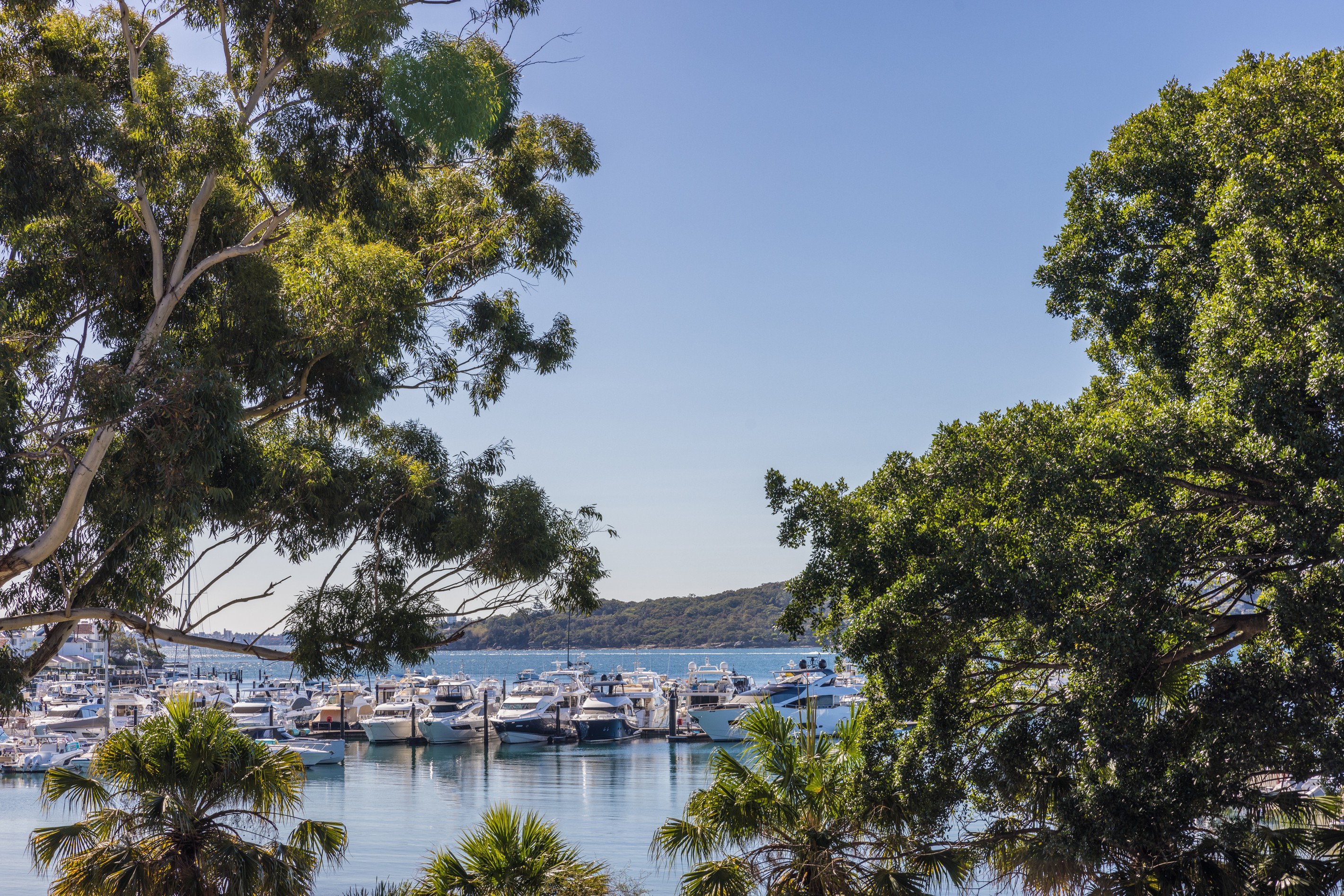 5/1A Rose Bay Avenue, Rose Bay, NSW 2029