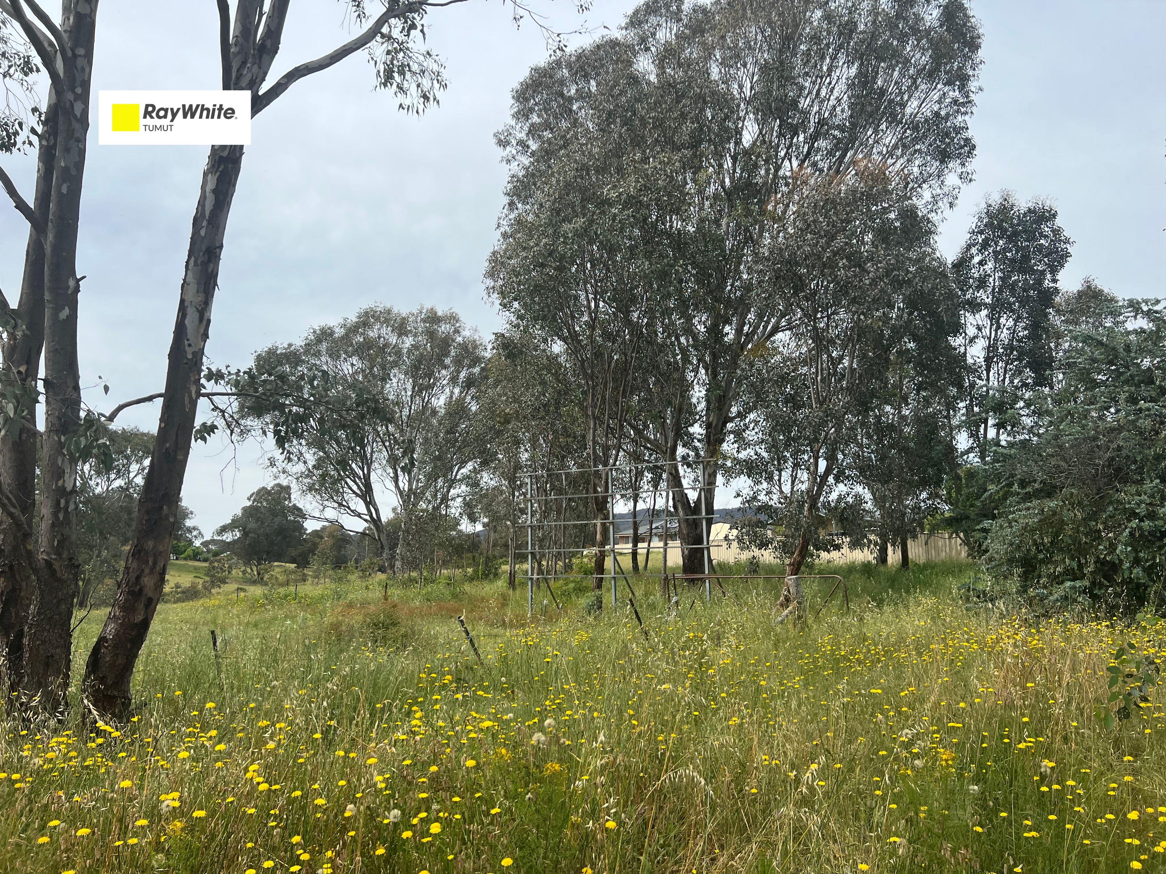 Lot 51 Quandong Avenue, Tumut, NSW 2720 Sold Land Ray White Rural