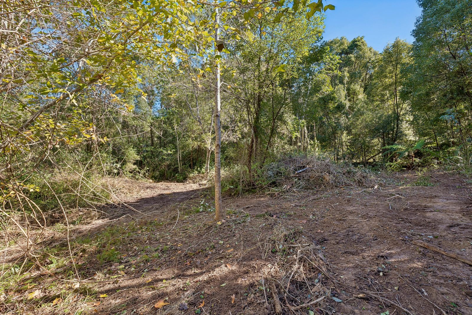 315 Upper Crystal Creek Road — photo 11 of 13