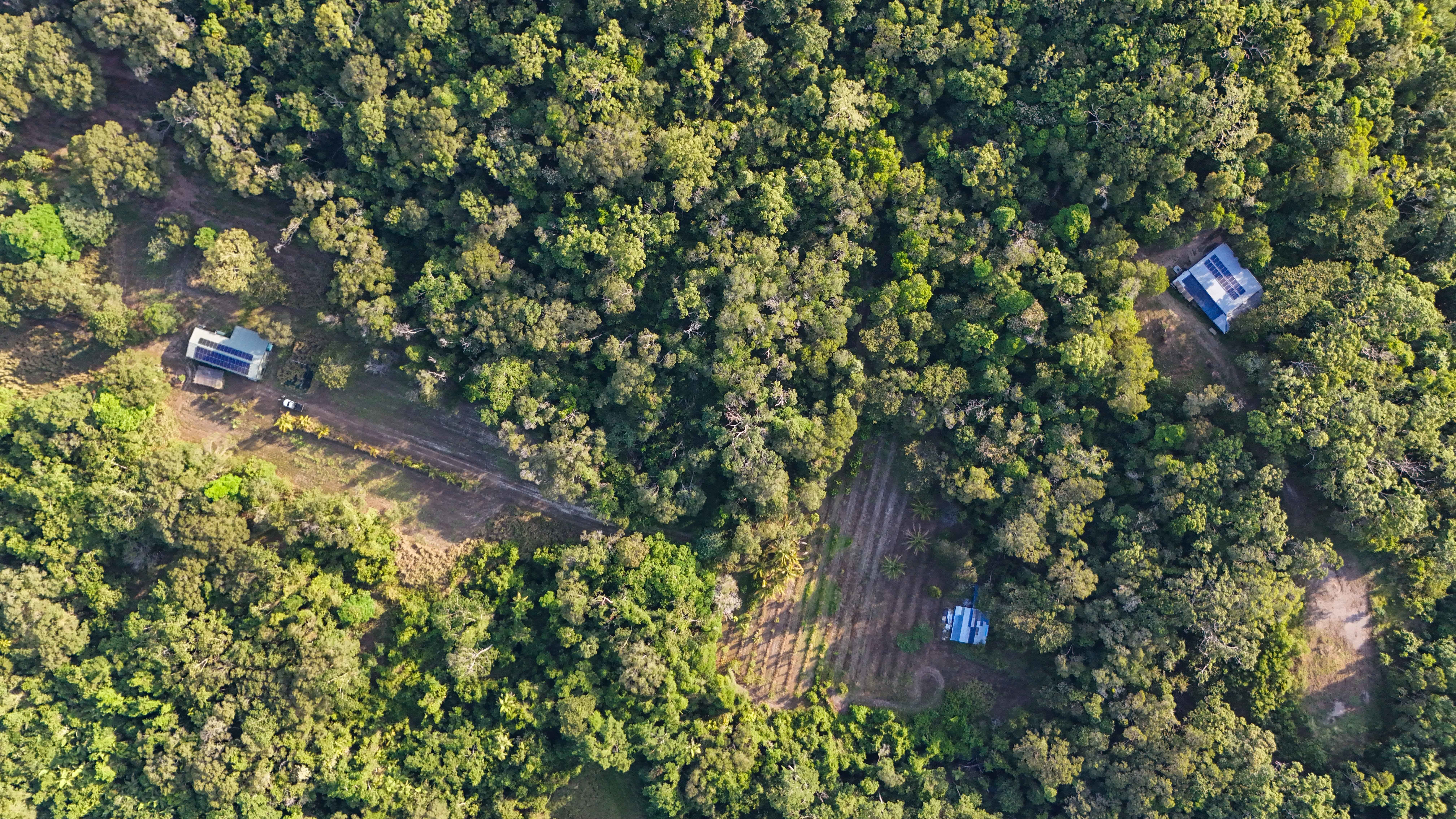 Create Your Idyllic Lifestyle to Include Future Potential Income on 342 acres — photo 8 of 30
