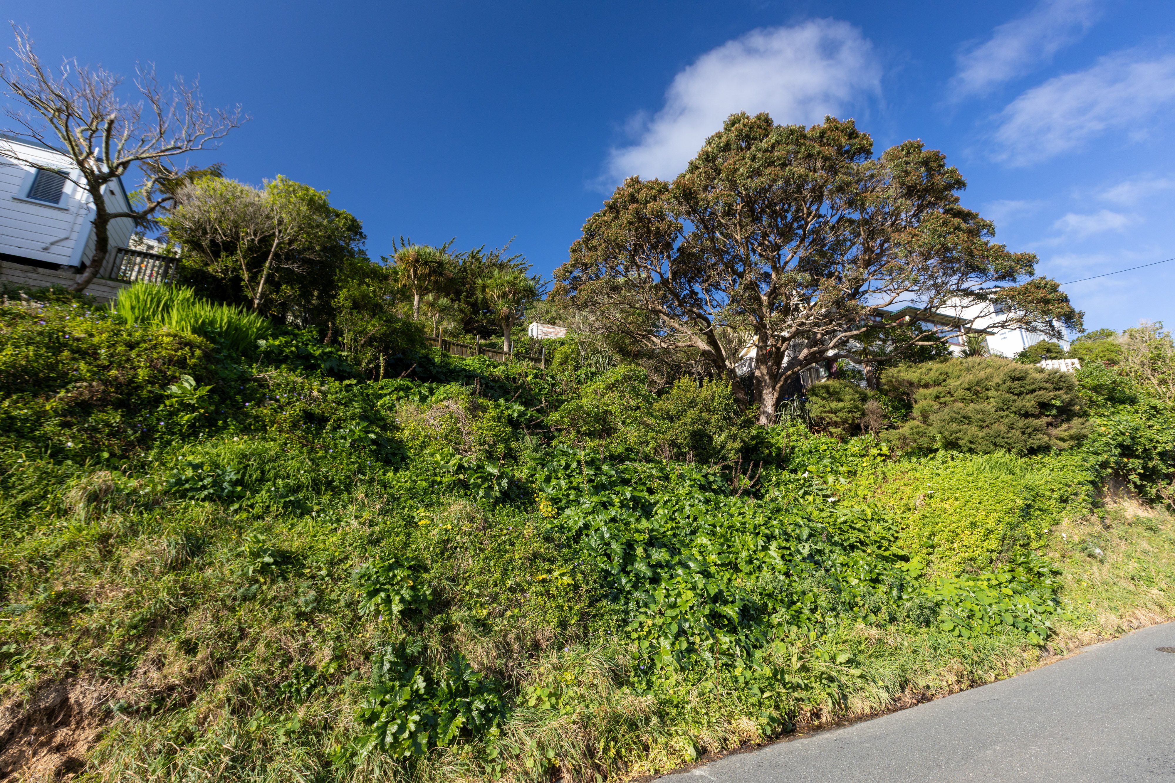 19 Mornington Road, Brooklyn, Wellington City