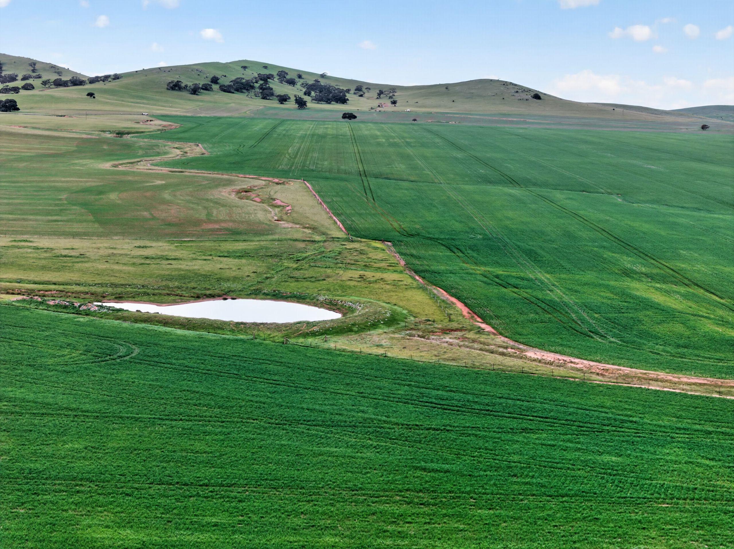 'Glen's' Cattle Station Road — photo from Ray White Rural South Australia