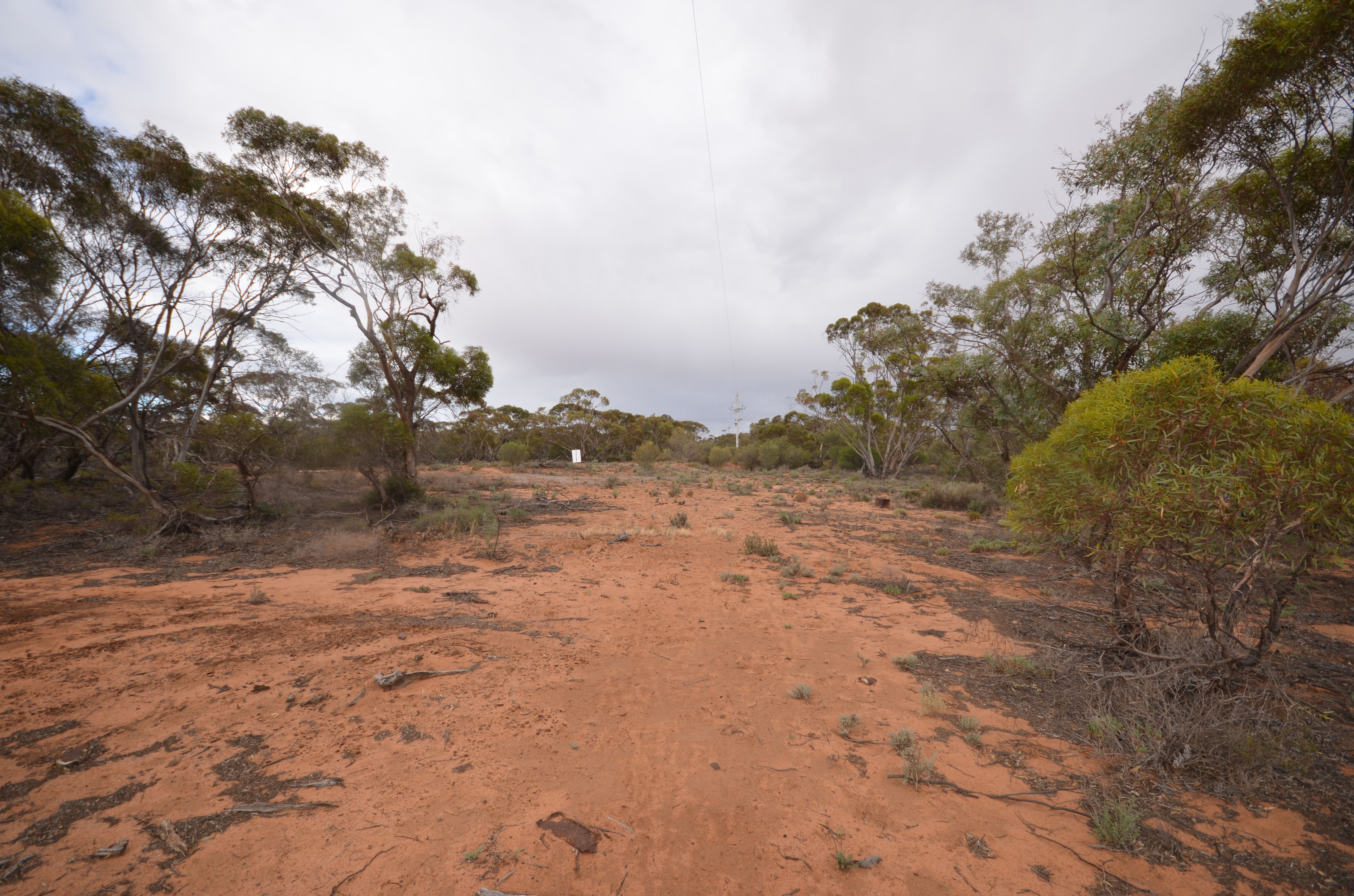 CA 17 Robinvale-Sea Lake Road, Annuello, VIC 3549