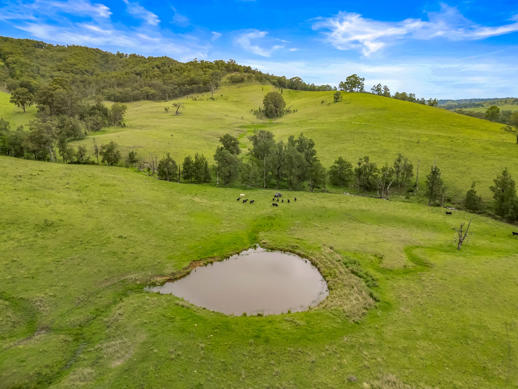 Carrowbrook Road Mount Olive — photo 14 of 15
