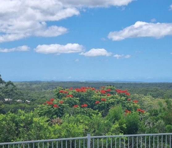 10 She Oak Close, Black Mountain, QLD 4563