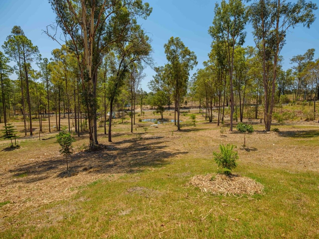 Lot 638 Arbortwenty Two Road , Glenwood QLD 4570