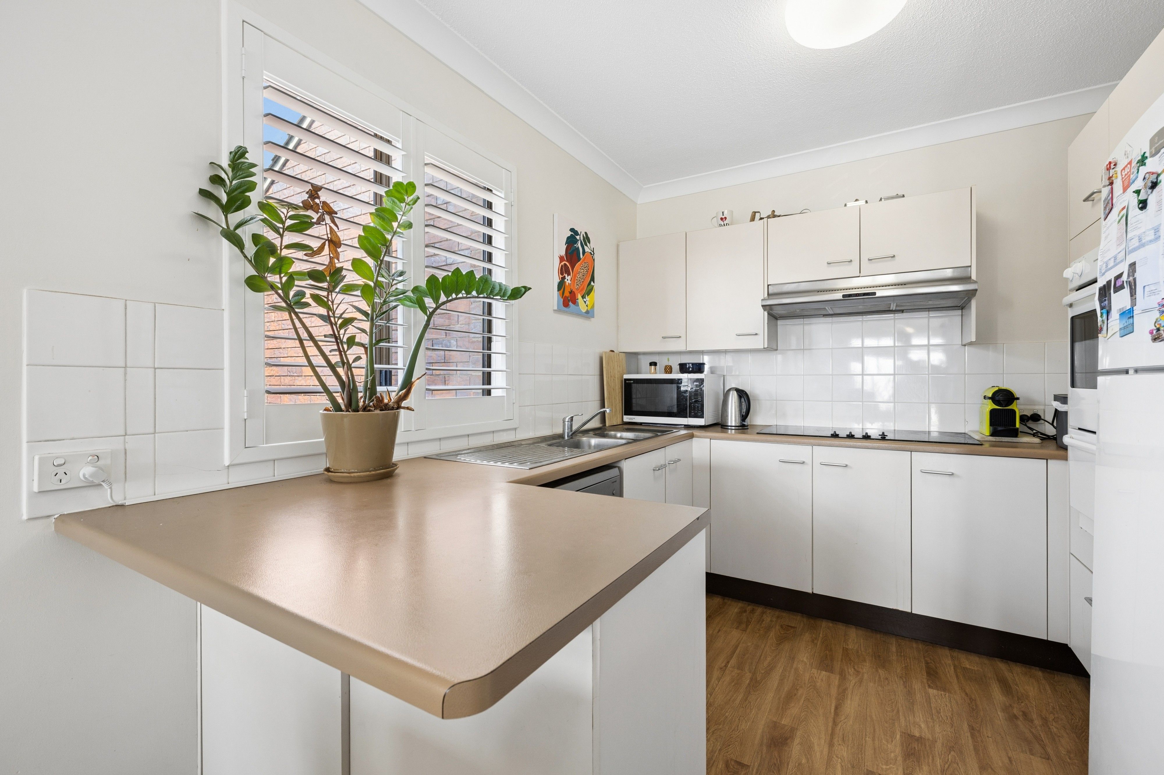 13/43 Ashgrove Avenue — photo 6 of 16