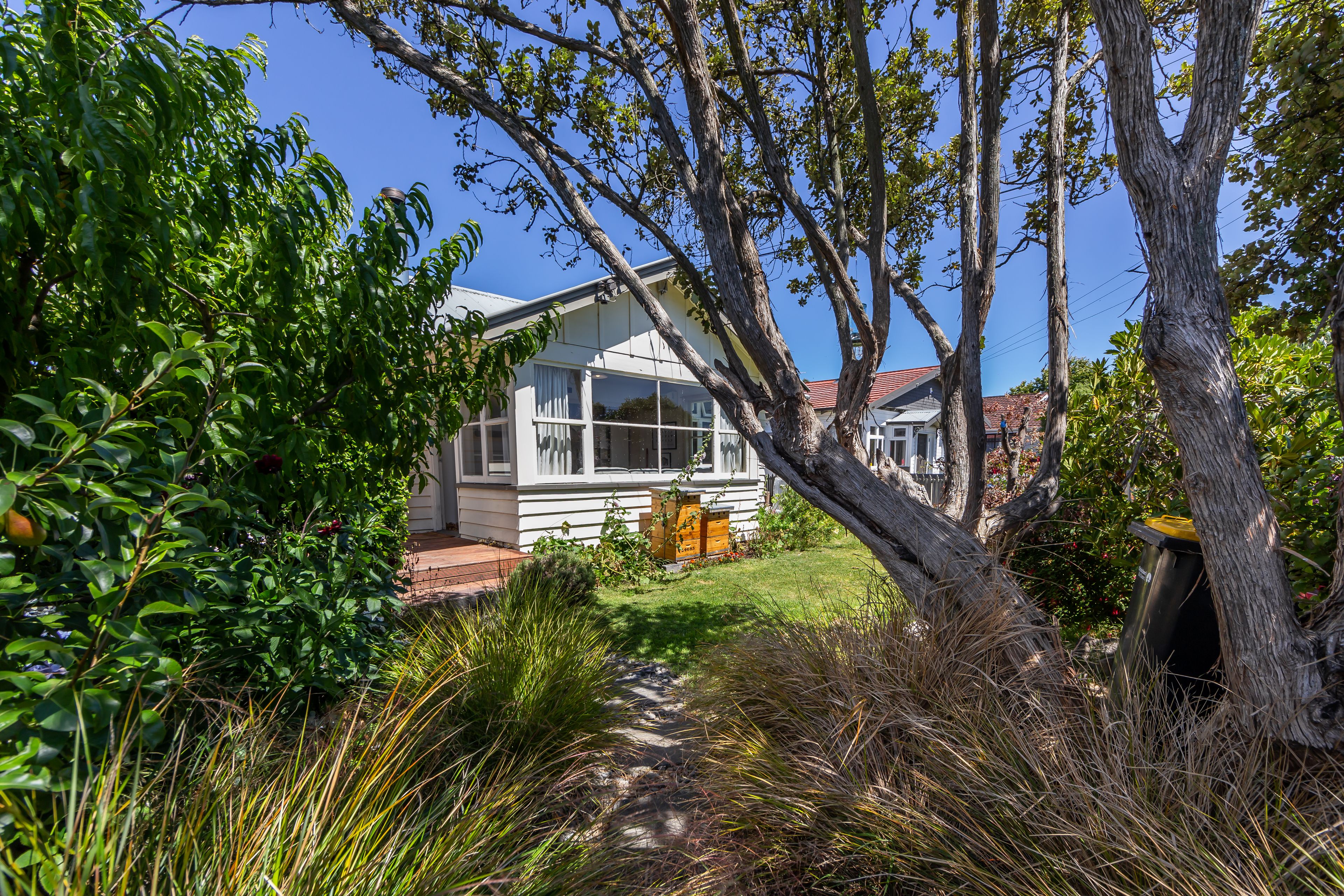 1/44 Koromiko Street, St Martins, Christchurch City