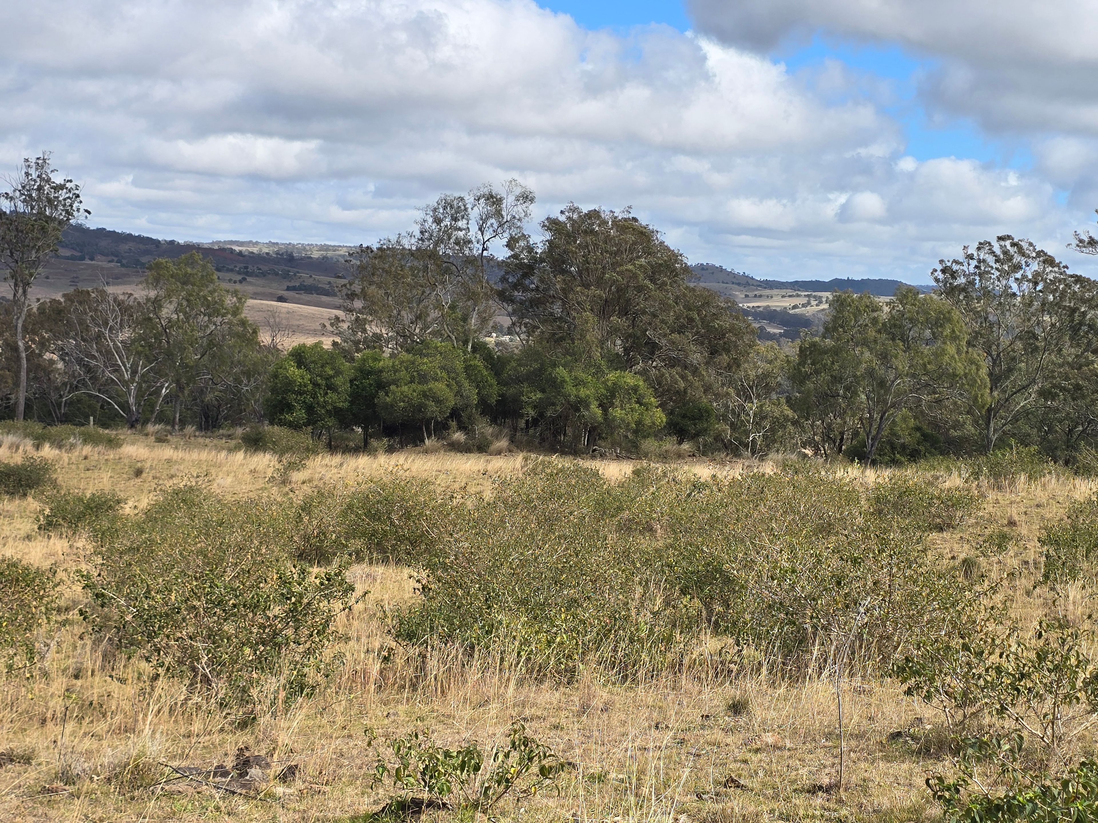 Lot 314 New England Highway — photo 6 of 14