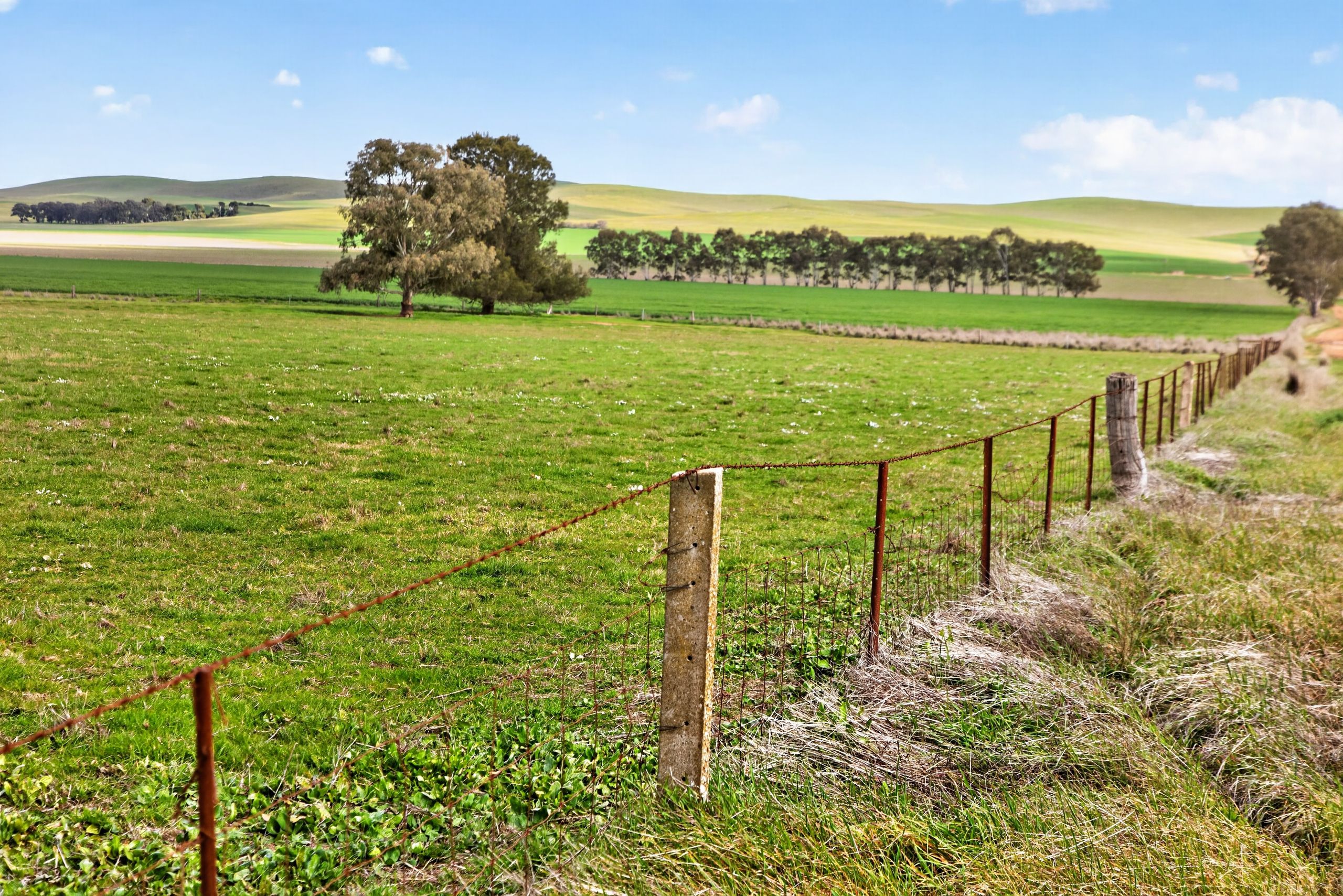 'Farrell Flat Block' Booborowie Road — photo 13 of 16