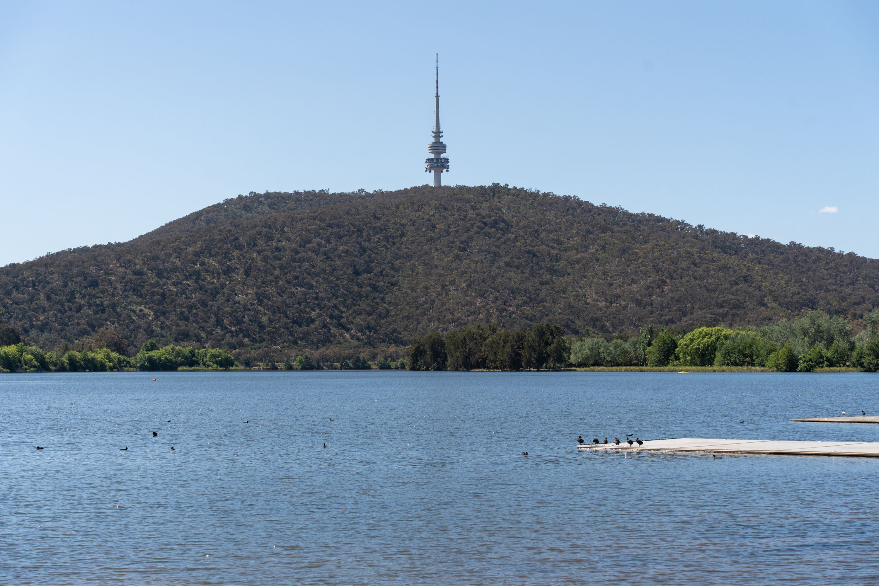 37 Turner Place, Yarralumla, ACT 2600
