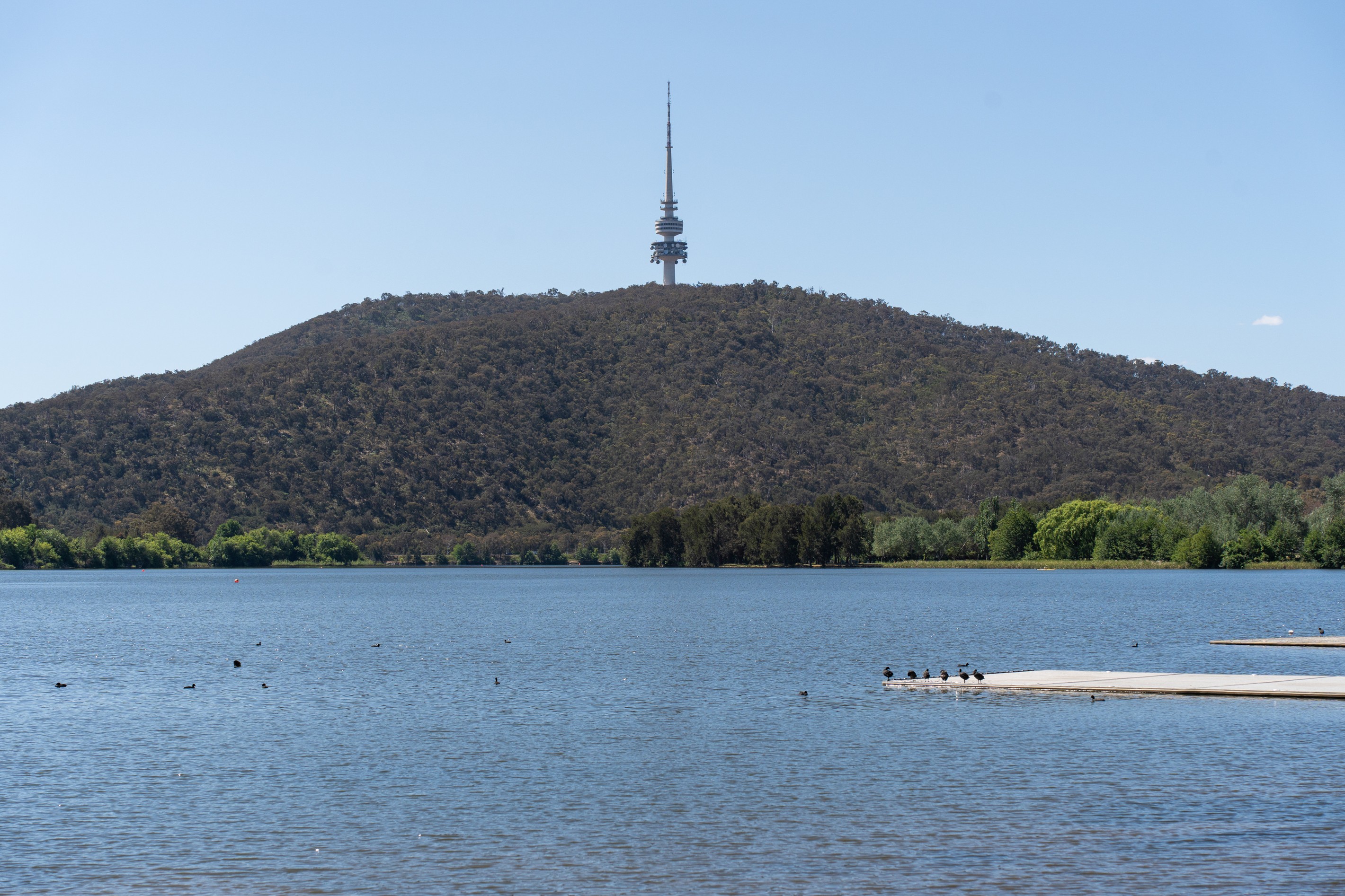 37 Turner Place, Yarralumla, ACT 2600