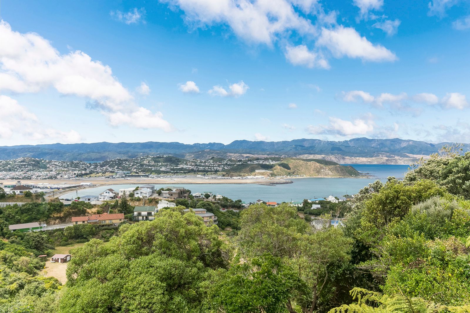 41 Buckley Road, Southgate, Wellington City