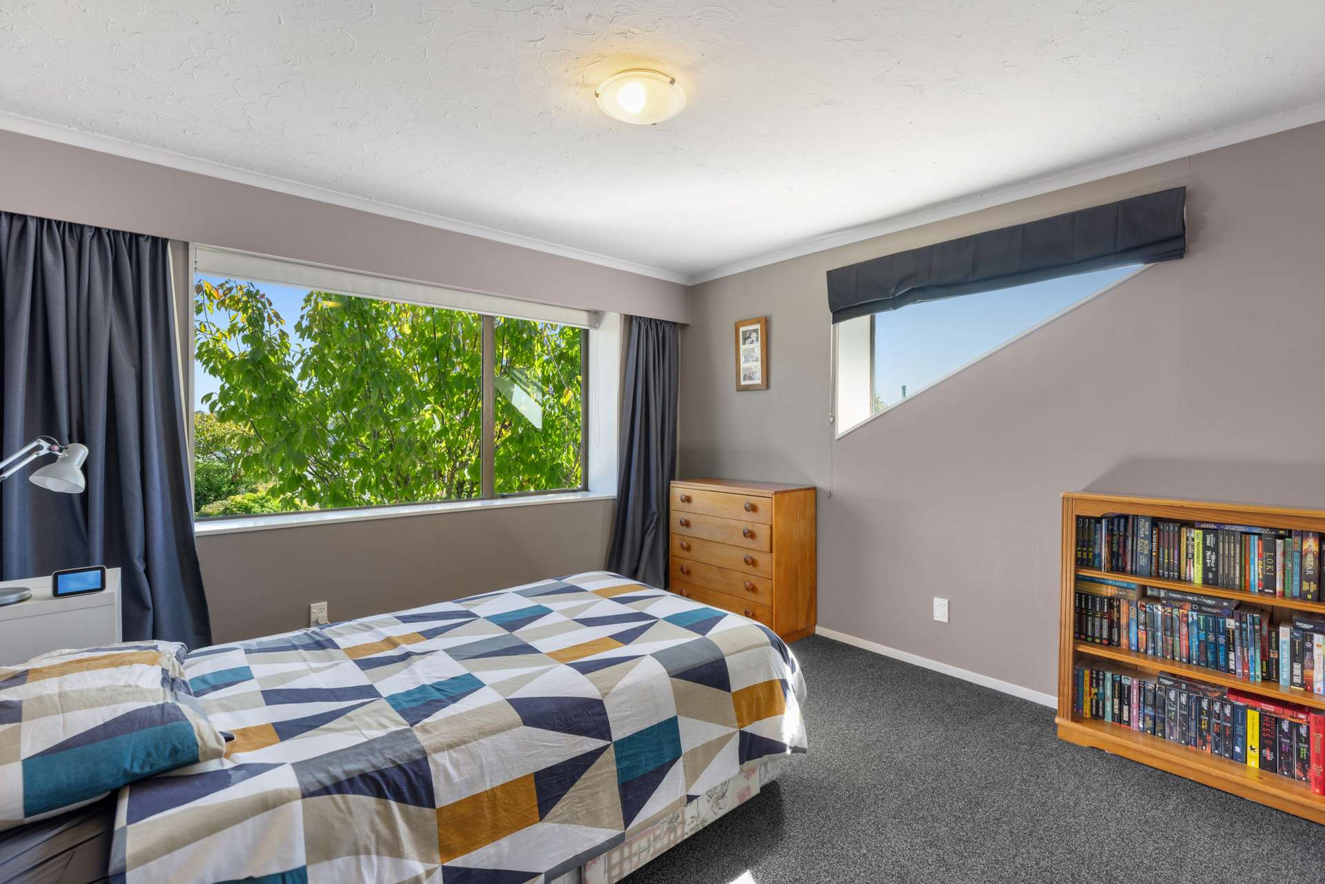 153 Cashmere Road photo 11