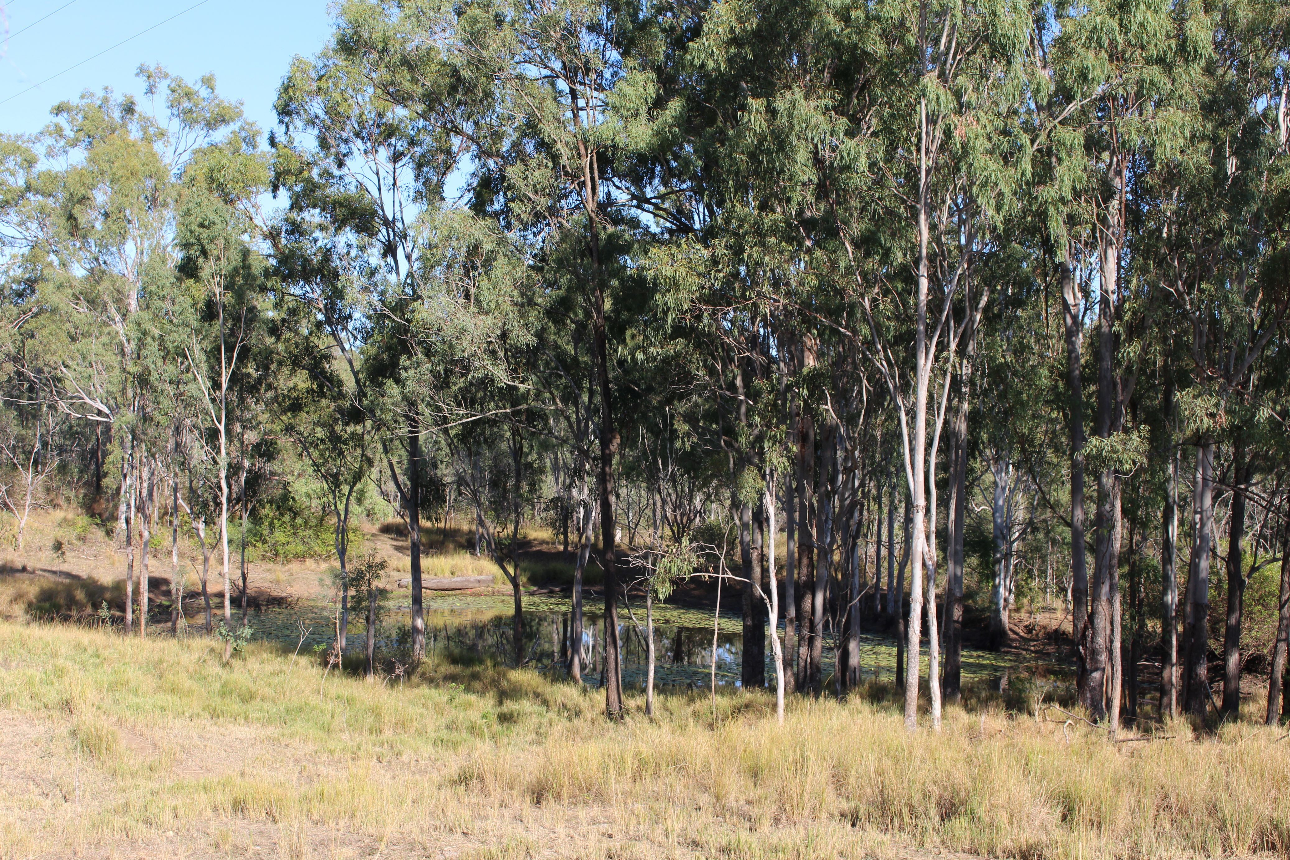 181 Daisy Dell Road, Bororen, QLD 4678