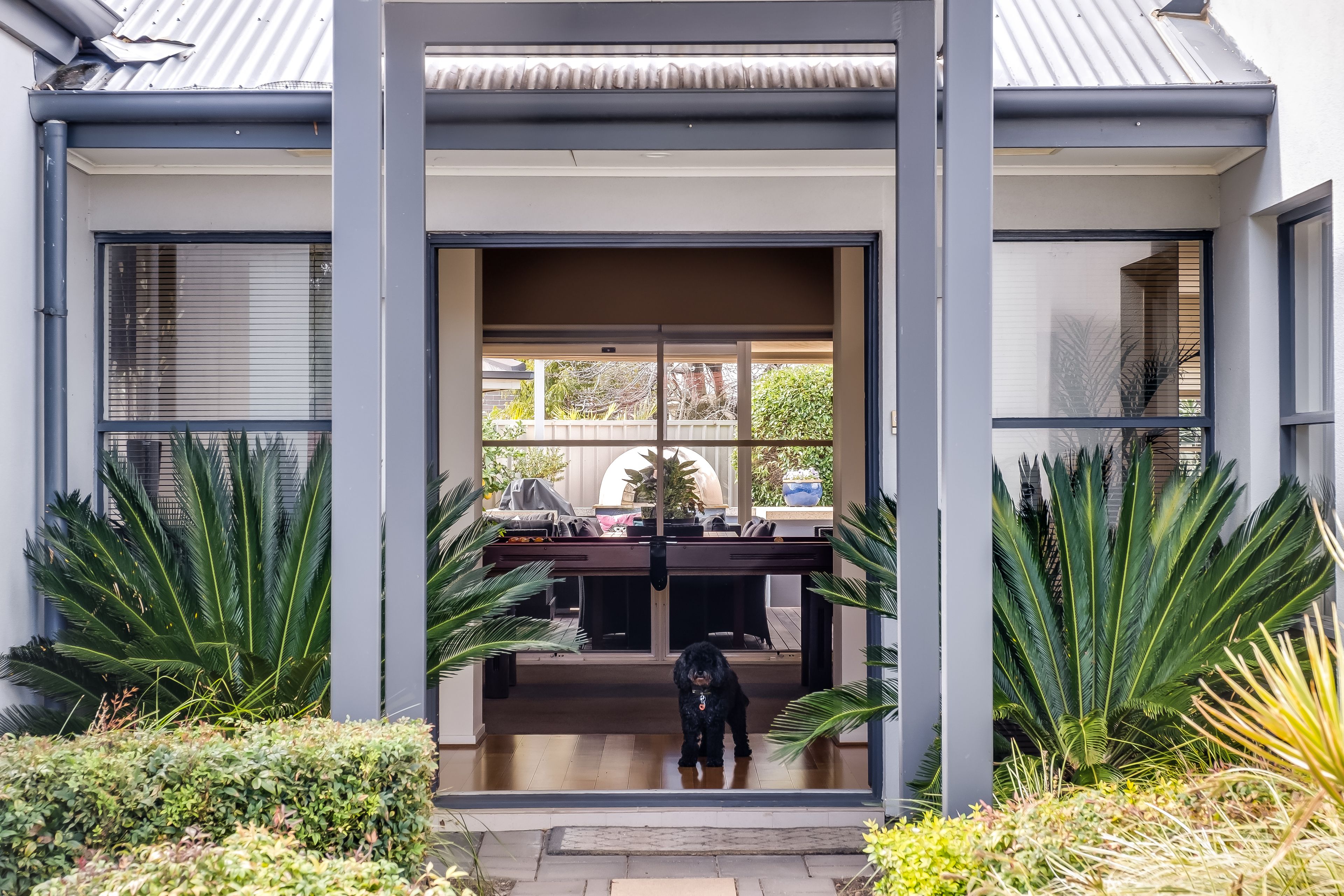 16 Exmoor Avenue, Oaklands Park, SA 5046