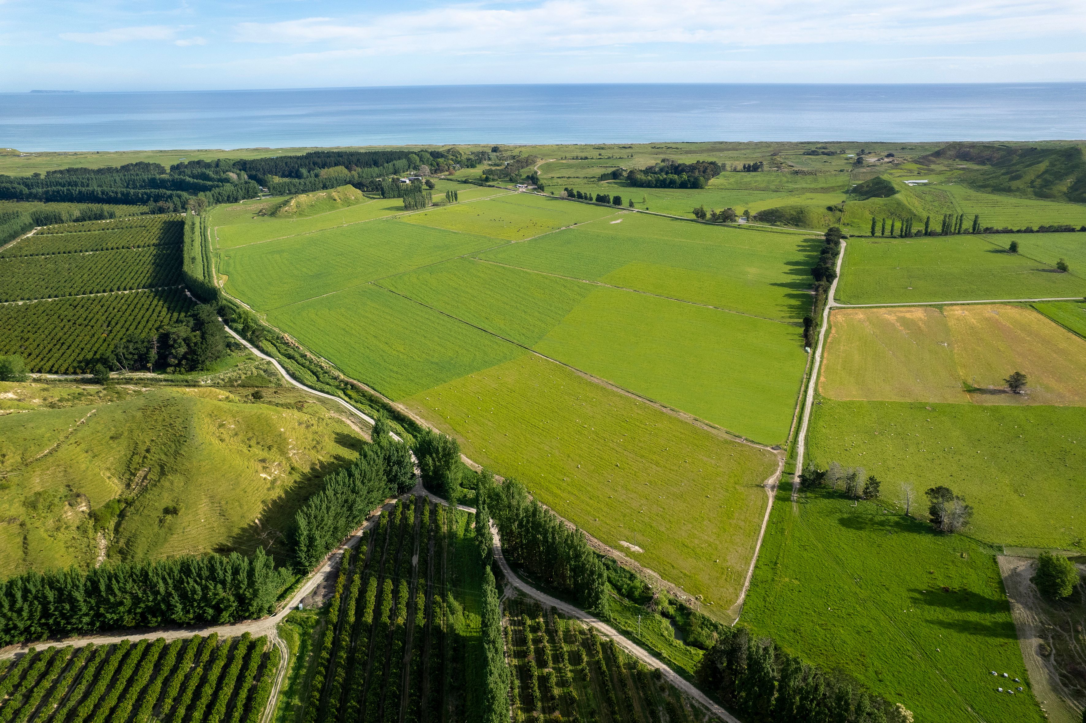 2225 State Highway 2, Whakaki, Wairoa District