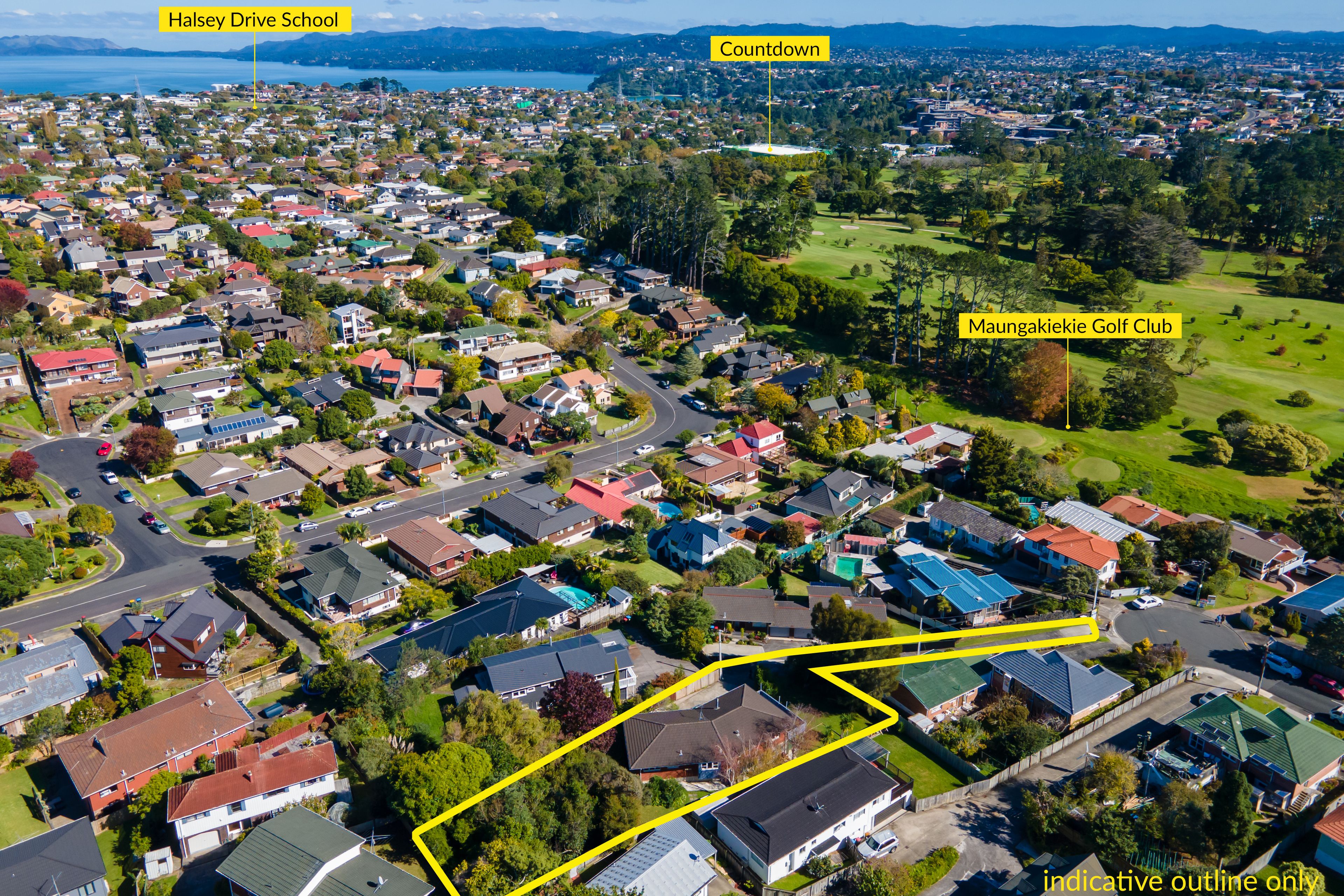 60 Budgen Street, Mount Roskill, Auckland City
