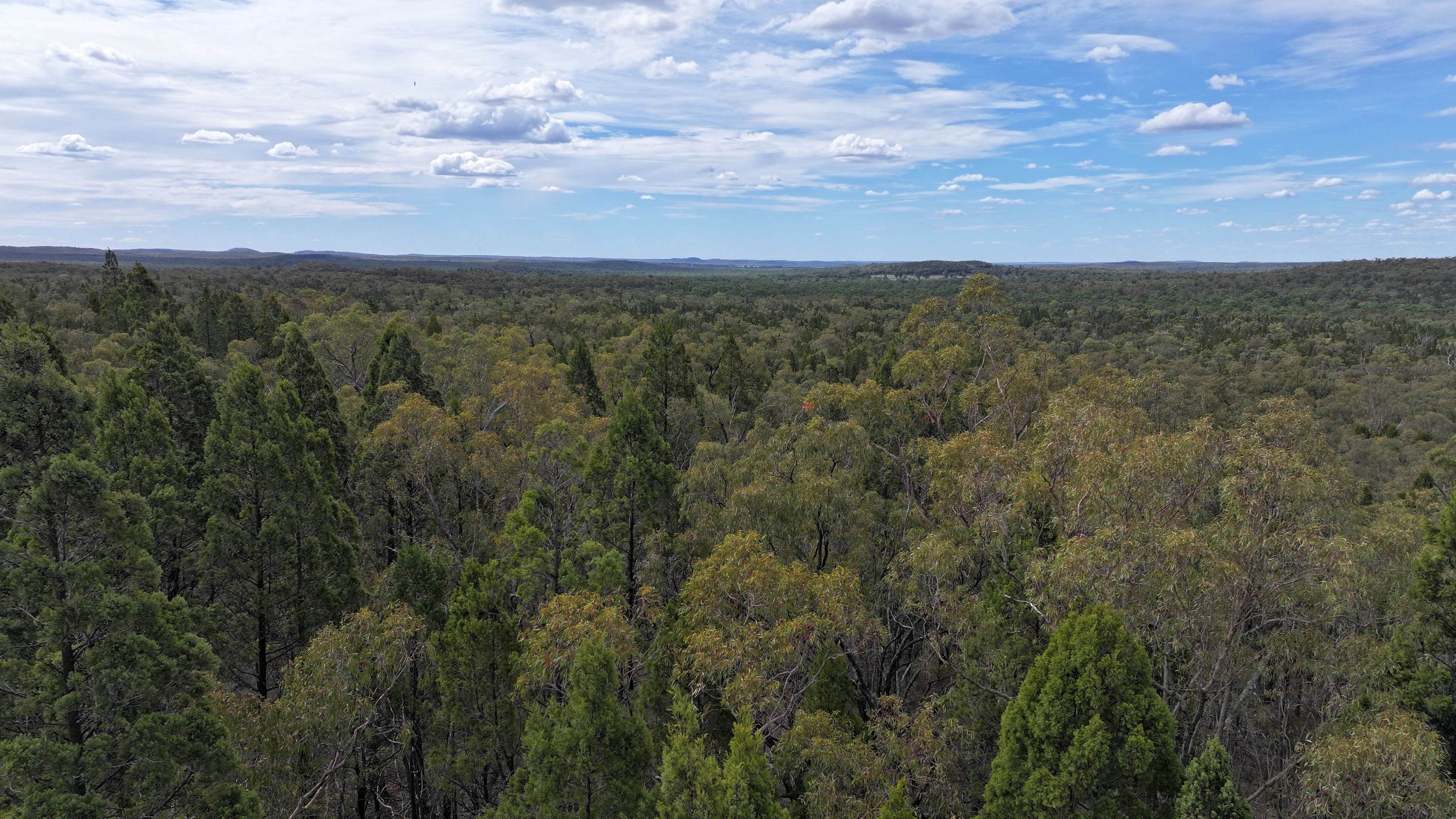 50 Aquilla Avenue, Coonabarabran, NSW 2357