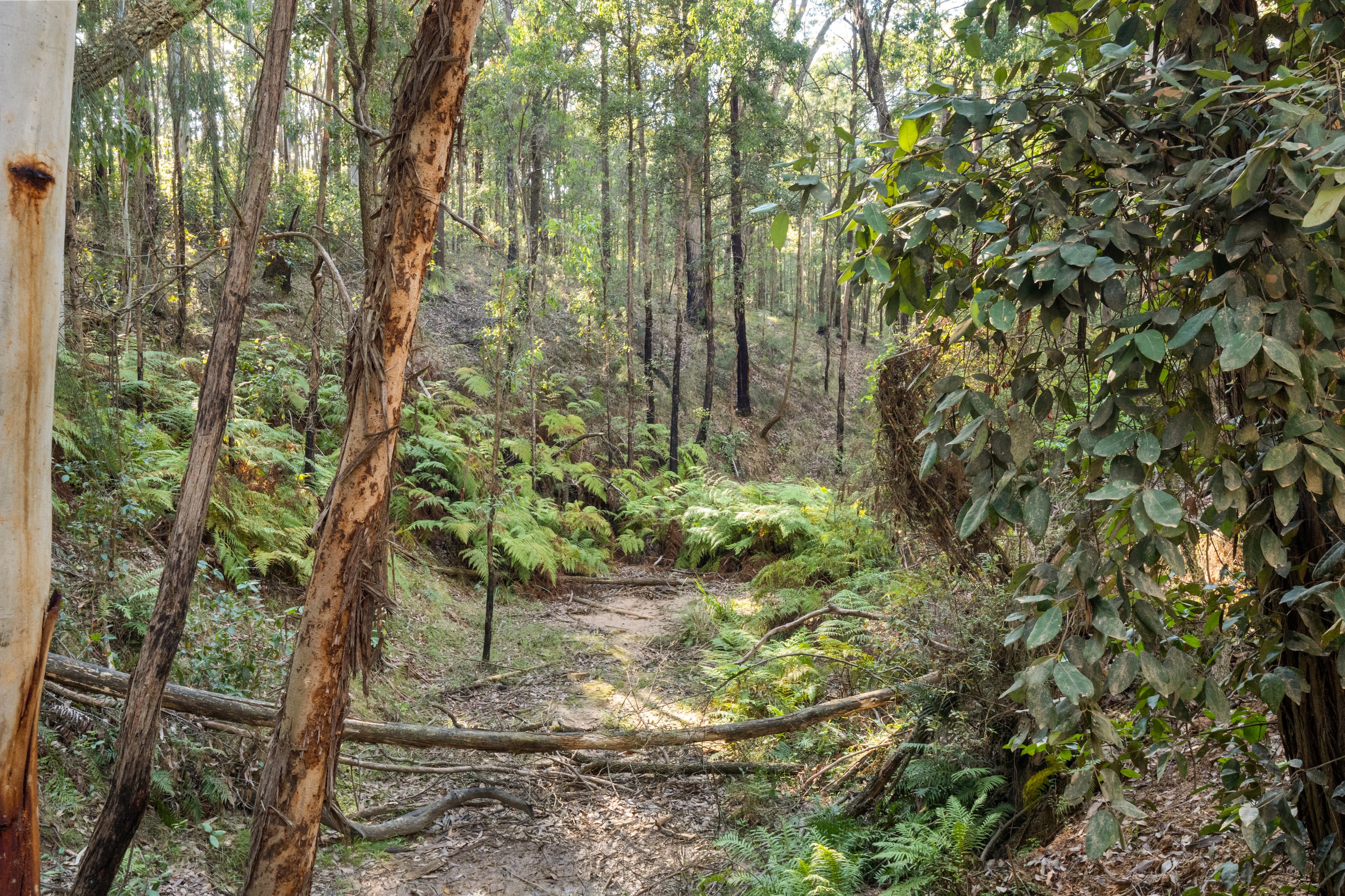 301 Bakers Road, Putty, NSW 2330