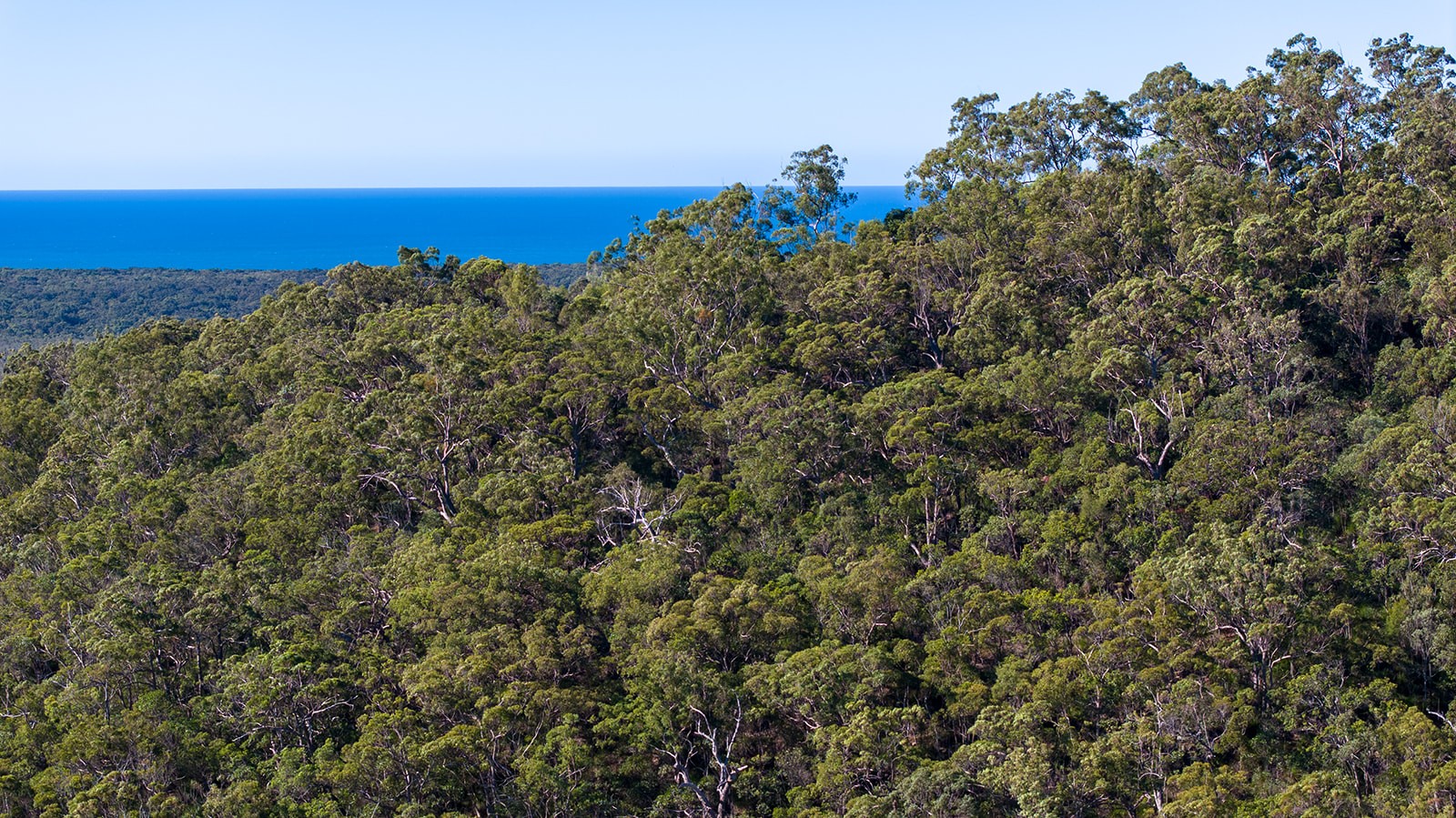 283 Streeter Drive, Agnes Water, QLD 4677
