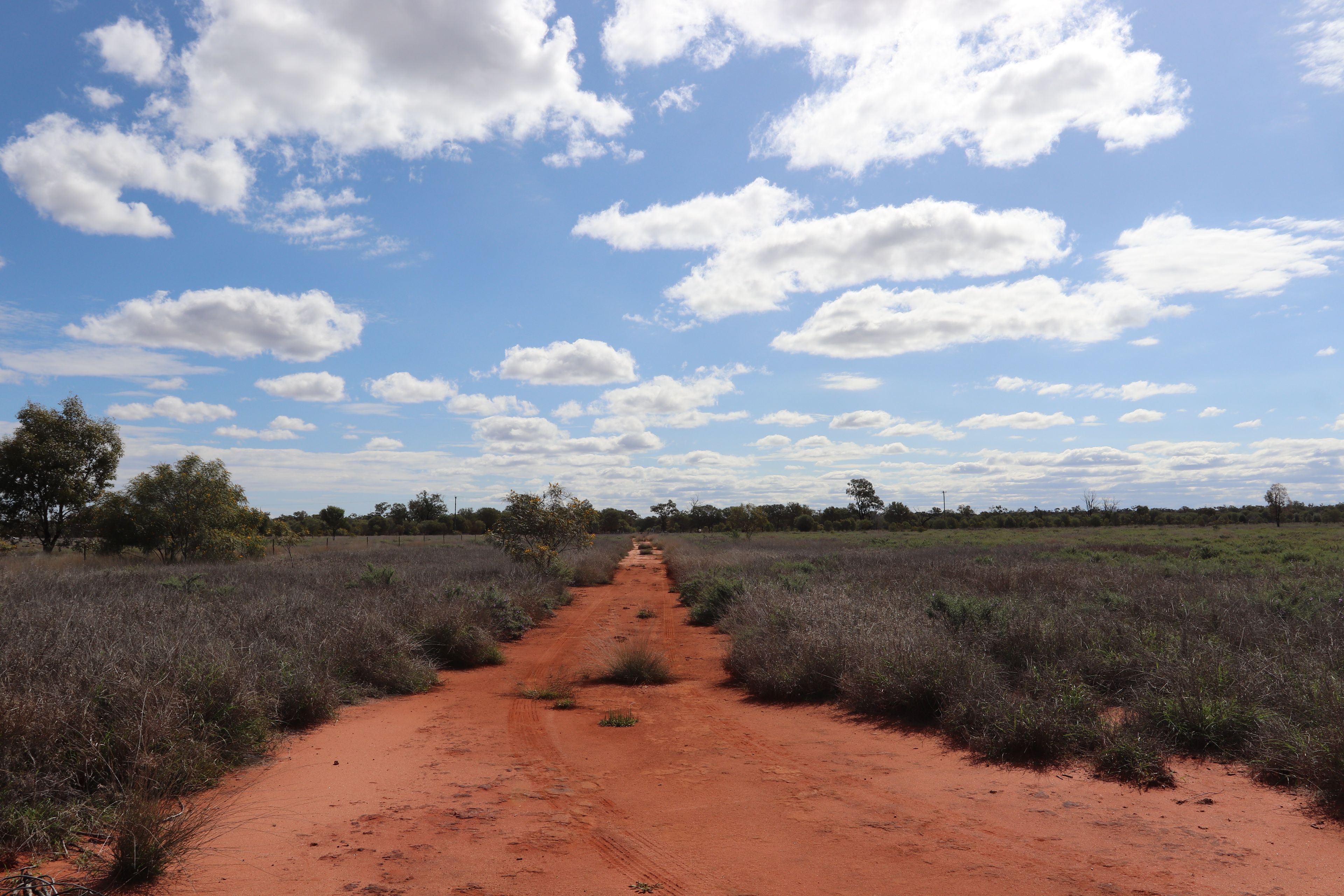 128 Albert Park Road, Charleville, QLD 4470 Sold Rural Lifestyle