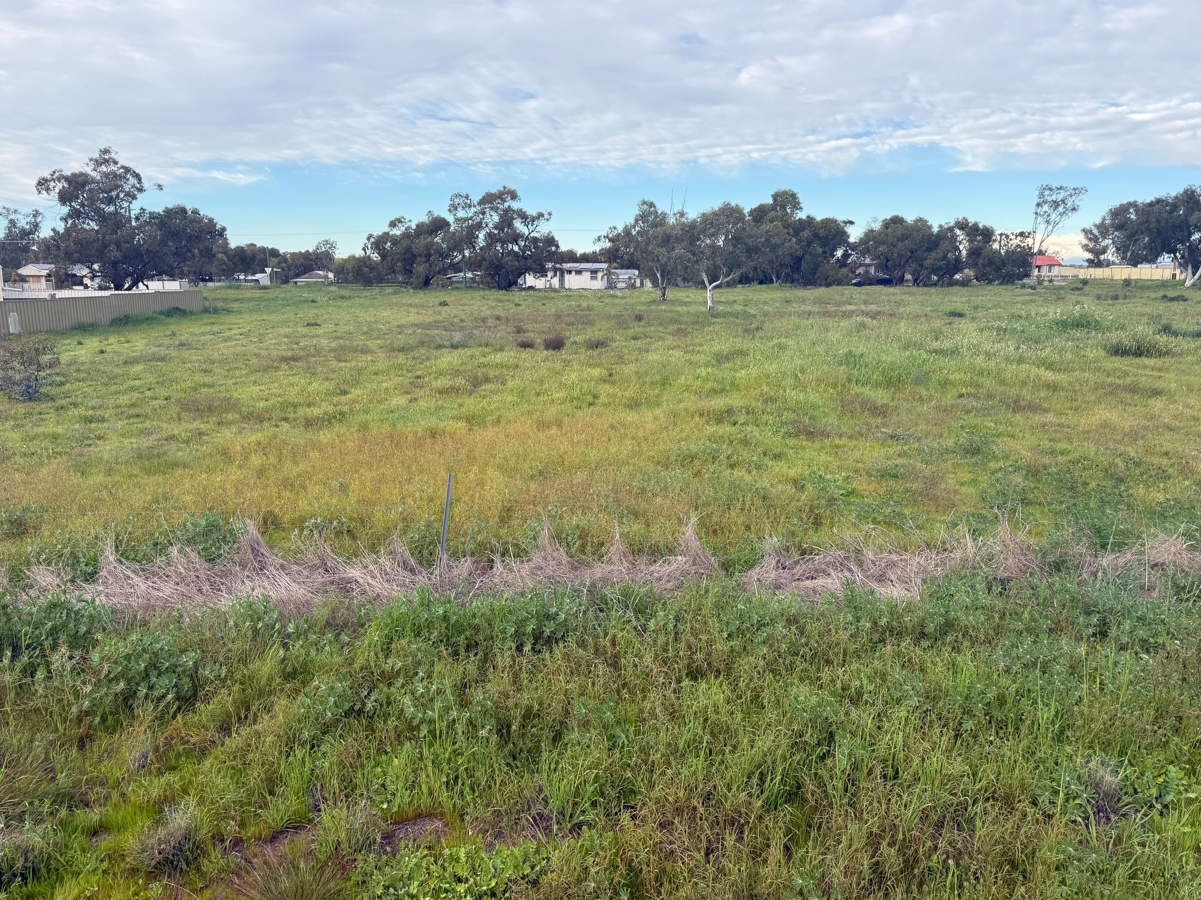 10 Field Street, Mingenew, WA 6522