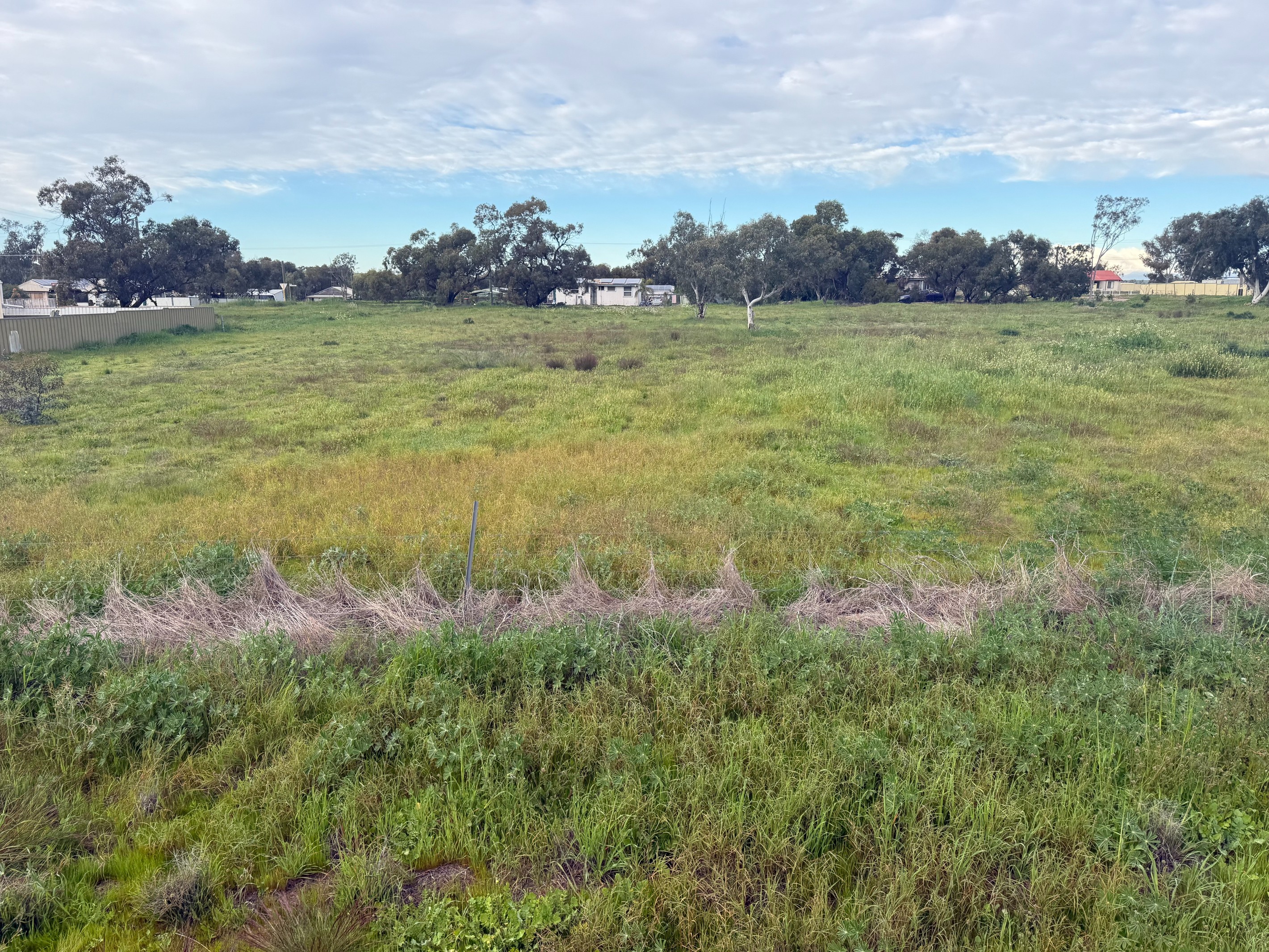 10 Field Street, Mingenew, WA 6522