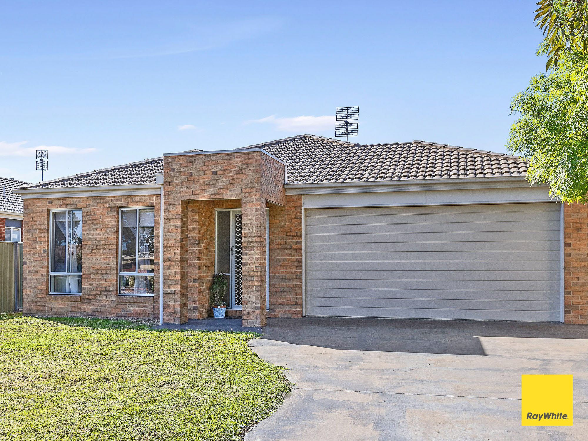 7 Arrawalli Avenue — photo from Ray White Bendigo