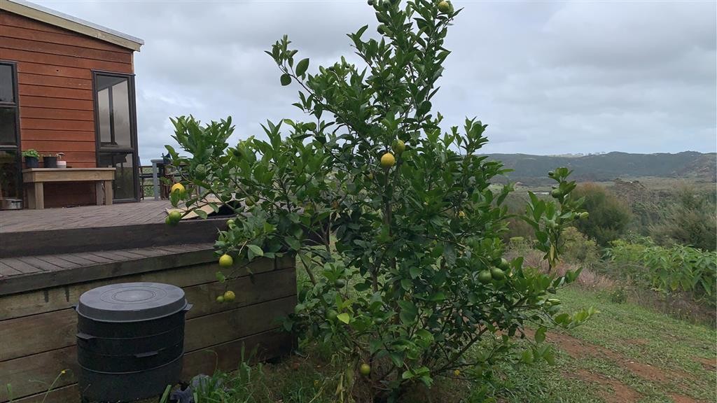 Mangonui, Far North District