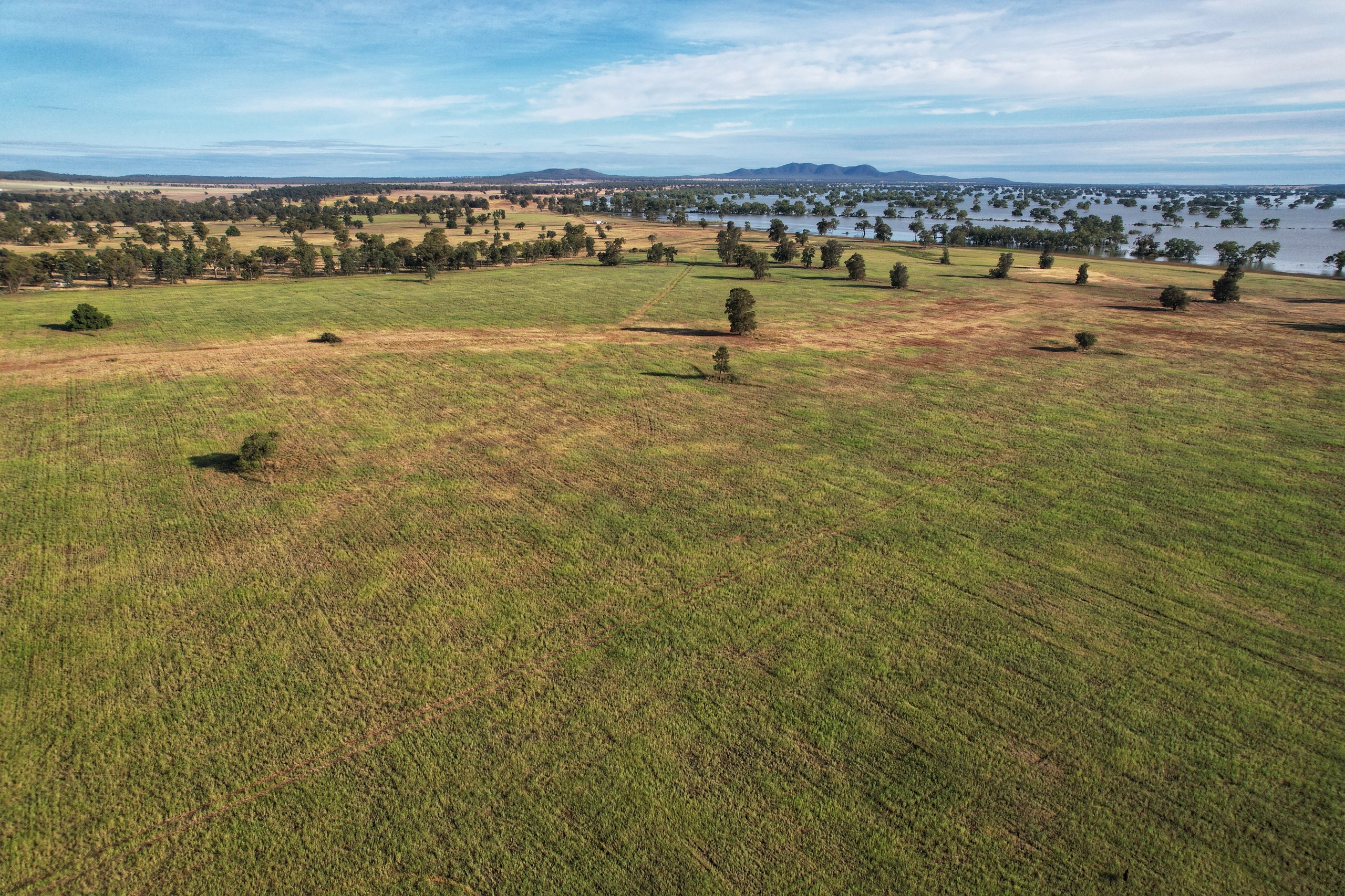1872 Lake Cowal Road, West Wyalong, NSW 2671