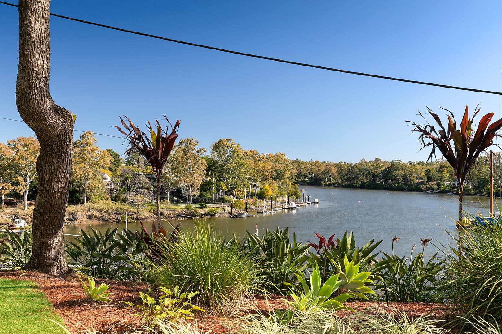 54 Foxton Street, Indooroopilly QLD 4068