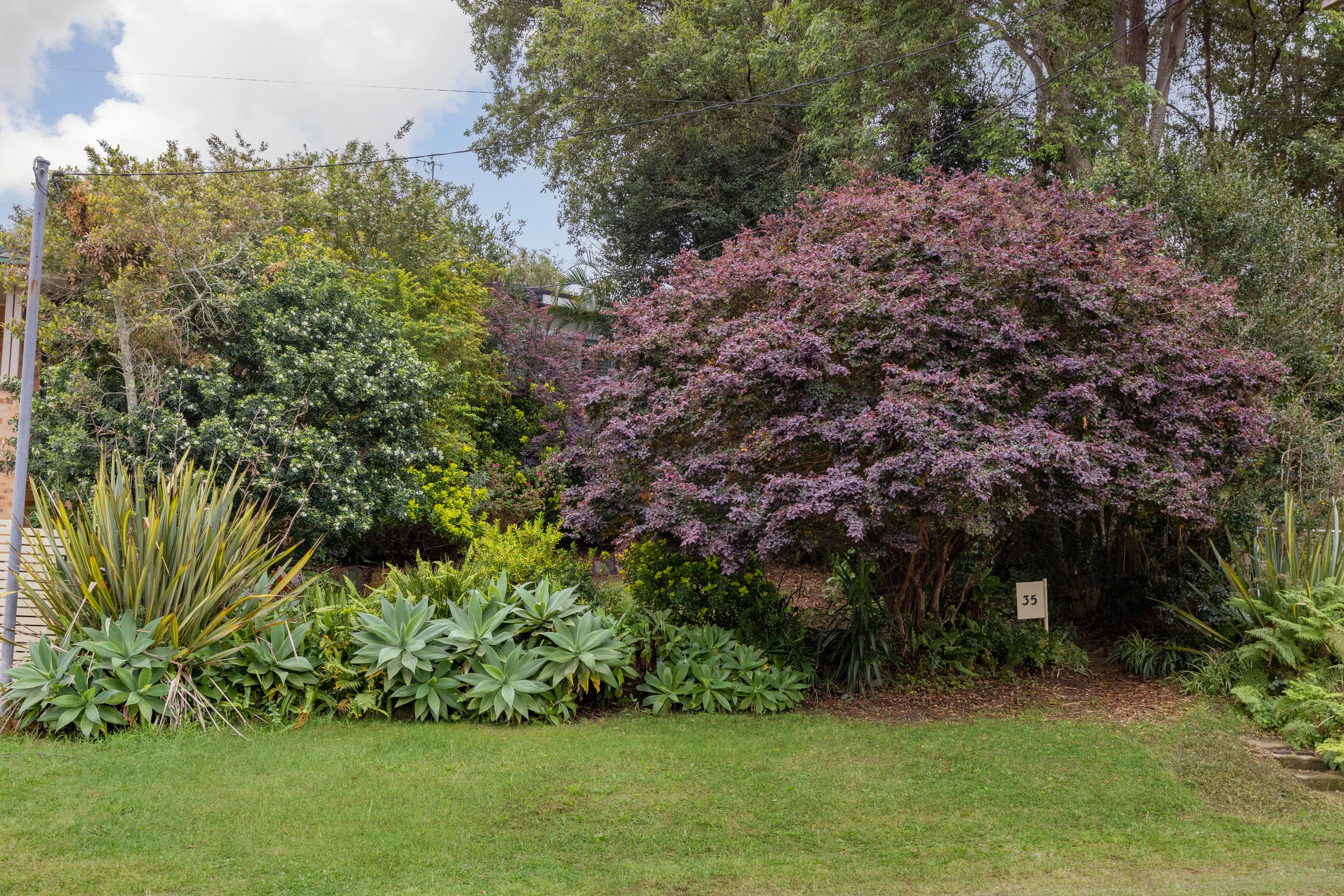35 Kahibah Road — photo 10 of 17