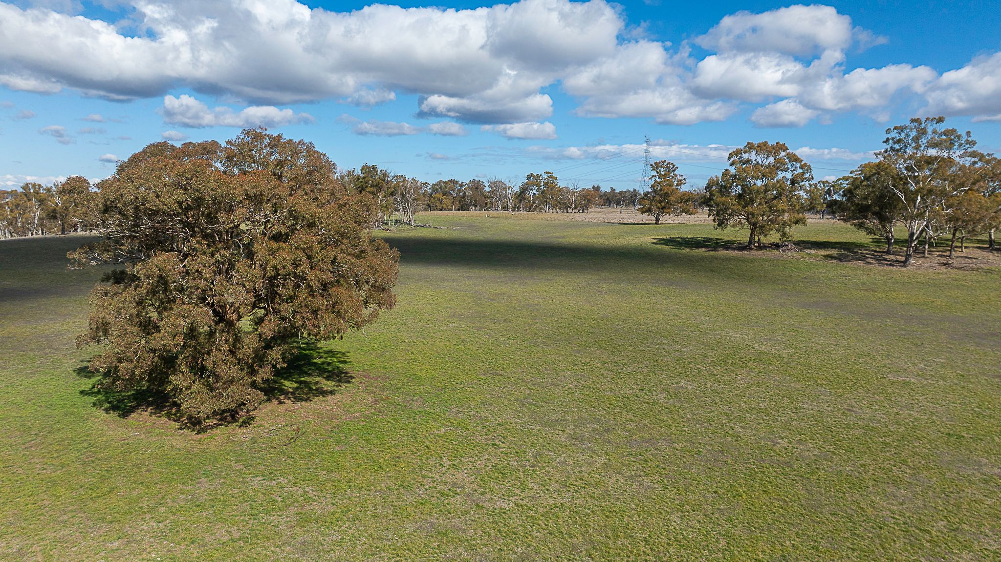 "Chippendale" 1337 Baldersleigh Road — photo 14 of 30