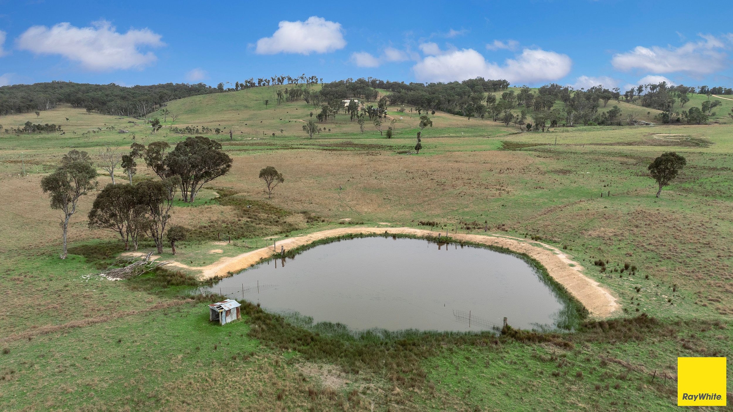 951 Grafton Road, Armidale, NSW 2350