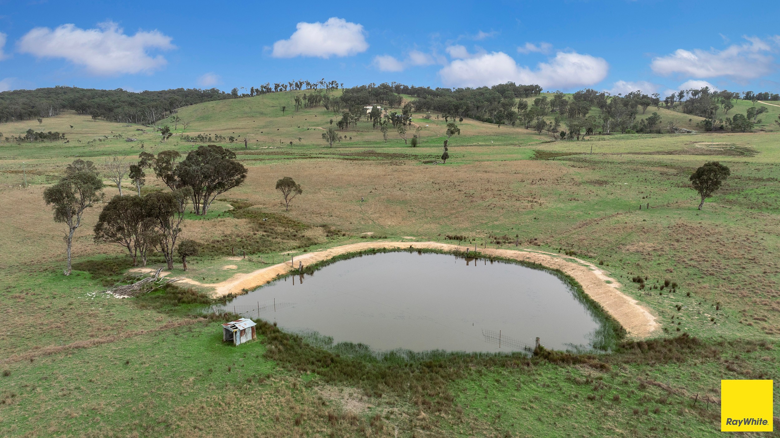 951 Grafton Road, Armidale, NSW 2350