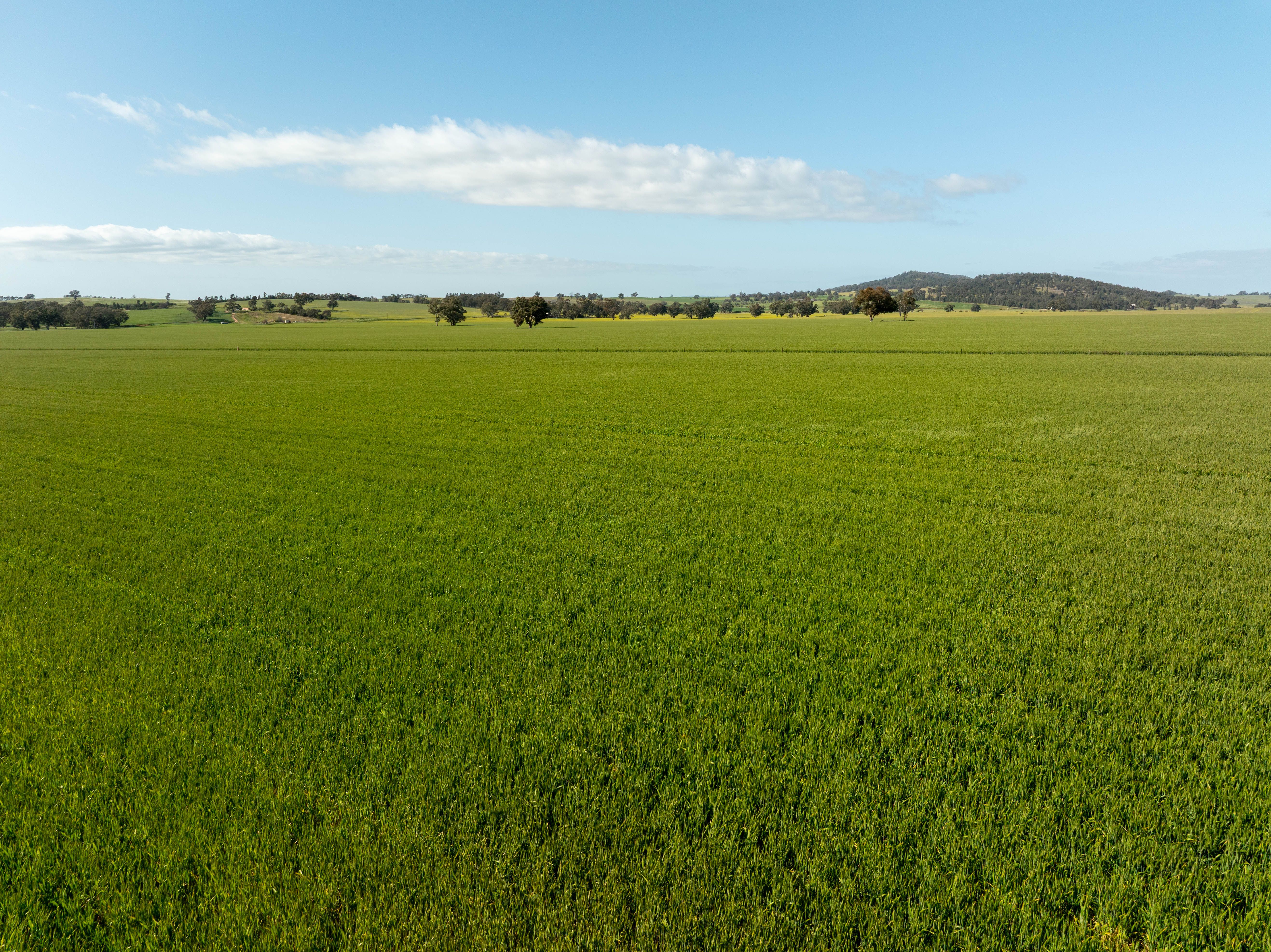 267 Gap Hall-Coolamon Road — photo 4 of 13