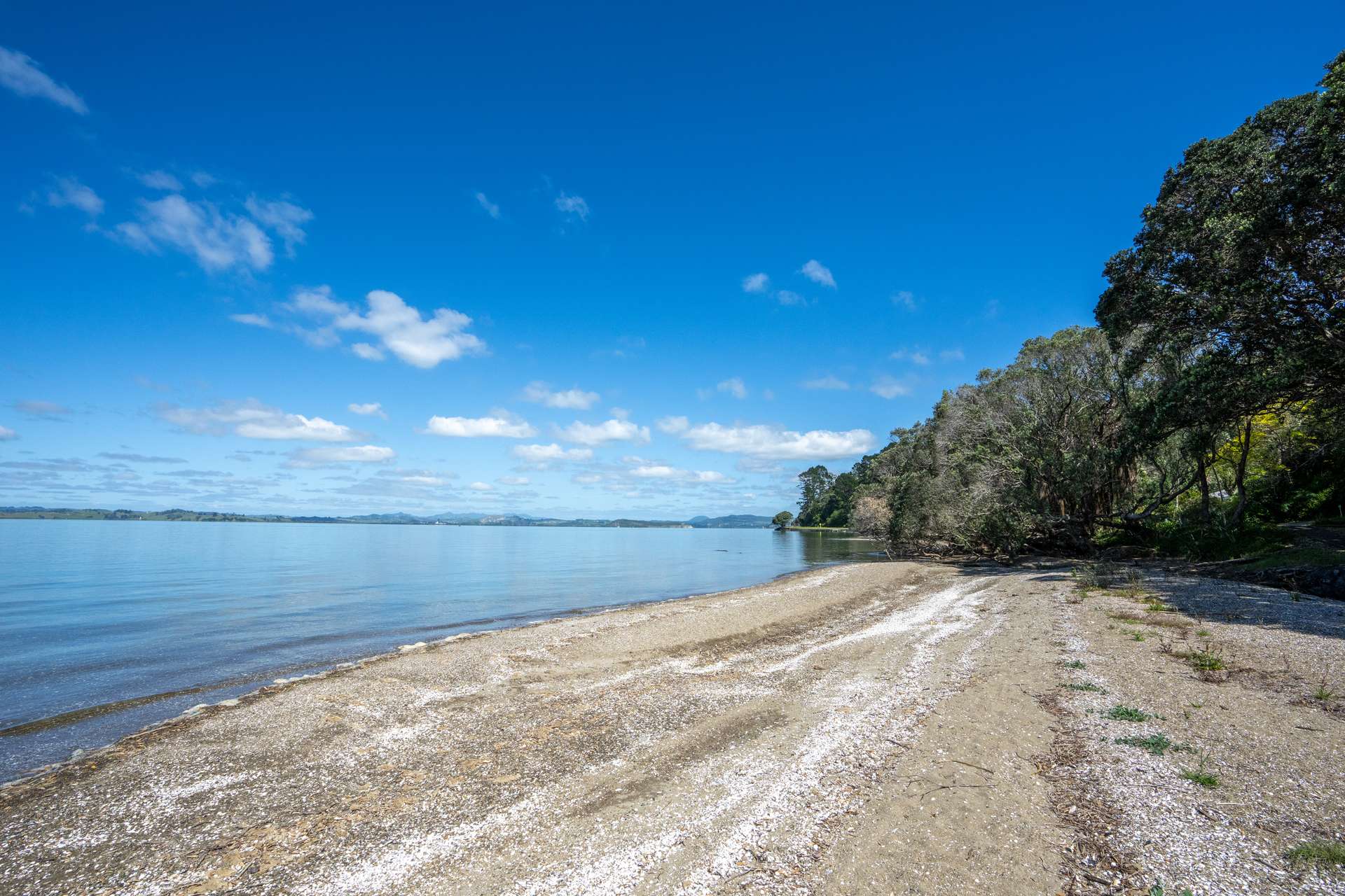 647 Whangarei Head Road photo 45