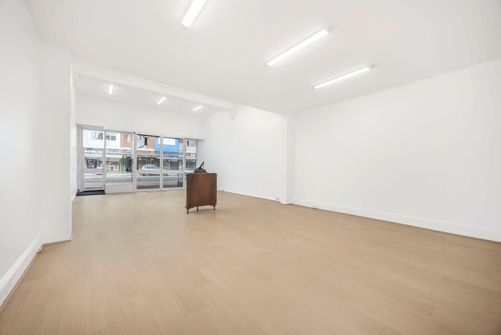 219 Parramatta Road, Annandale, NSW 2038