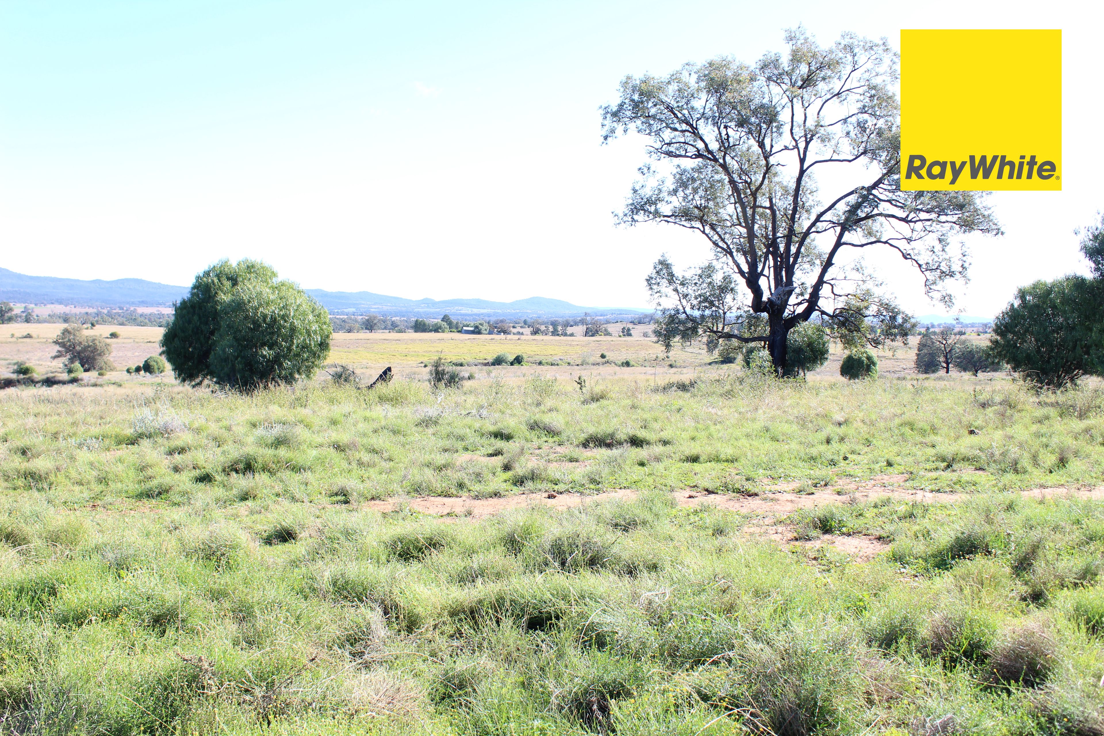 Lot 5152 Salter Street, Bingara, NSW 2404 Land for Sale Ray White
