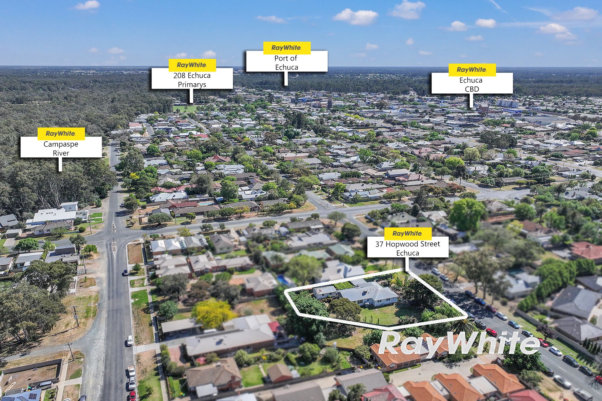37 Hopwood Street — photo 6 of 17