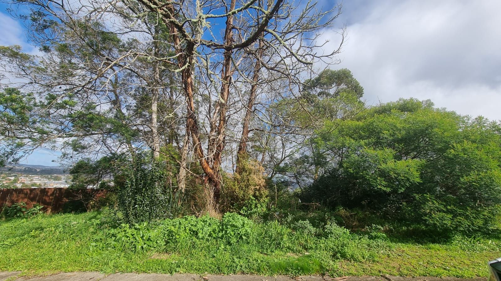 32 Tiriwa Drive, Massey, Waitakere City