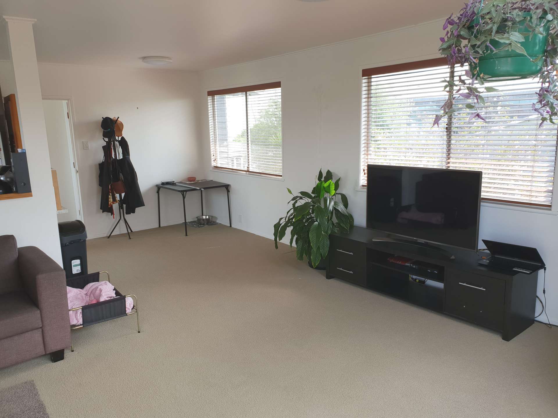 47 Totara Road photo 5