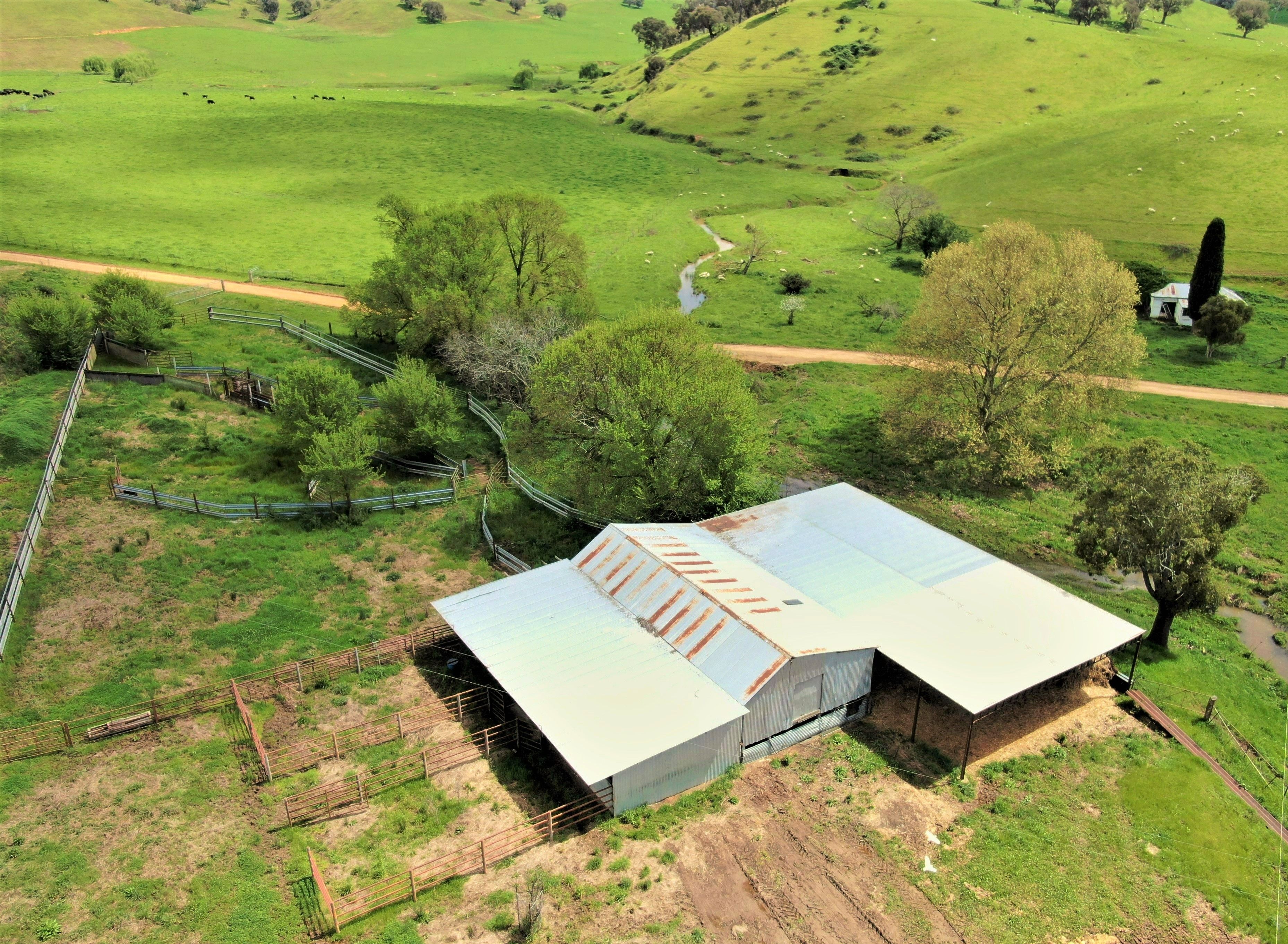 330 Quidong Road, South Gundagai, NSW 2722 Sold Rural Property Ray