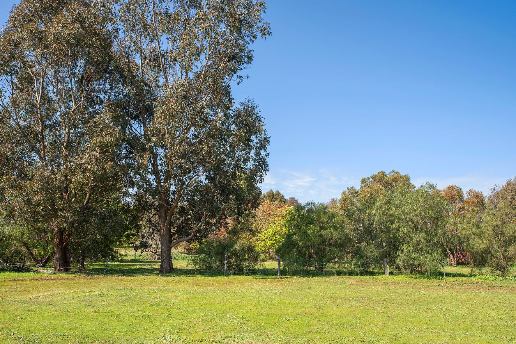 10 Scott Road, Capel, WA 6271 Land for Sale Ray White Stocker Preston